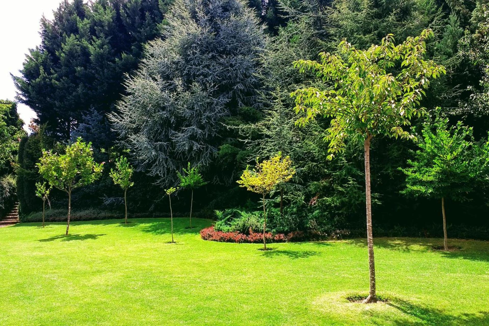 Descubra a Casa do Prado Guesthouse: O Refúgio Perfeito - Imagem 76