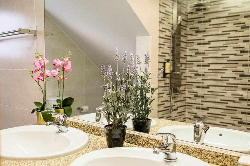 Descubra a Casa do Rio: Sua Melhor Opção de Acomodações - Imagem 26