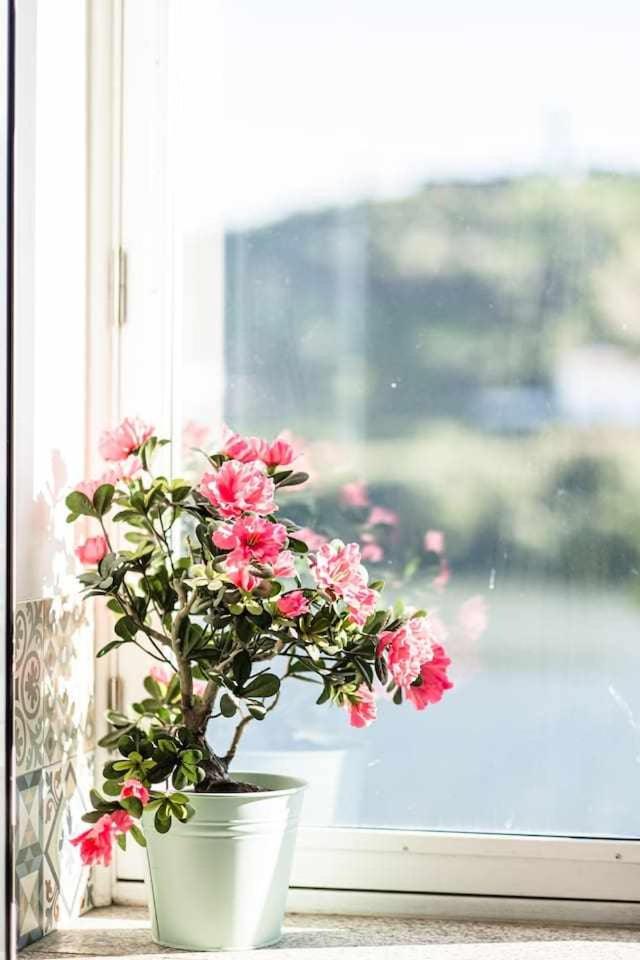 Descubra a Casa do Rio: Sua Melhor Opção de Acomodações - Imagem 92