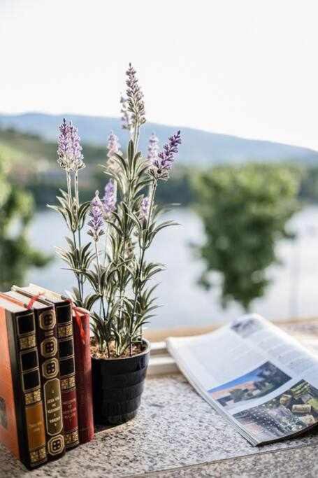 Descubra a Casa do Rio: Sua Melhor Opção de Acomodações - Imagem 99