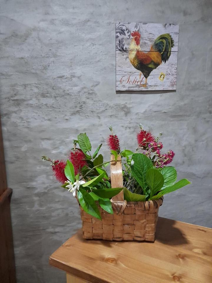 Descubra a Casa Dona Eufémia: Sua Casa Fora de Casa - Imagem 38