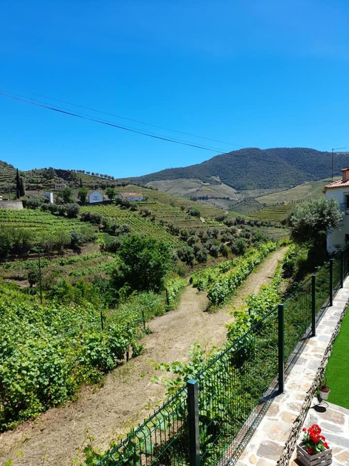 Descubra a Casa Dona Eufémia: Sua Casa Fora de Casa - Imagem 42