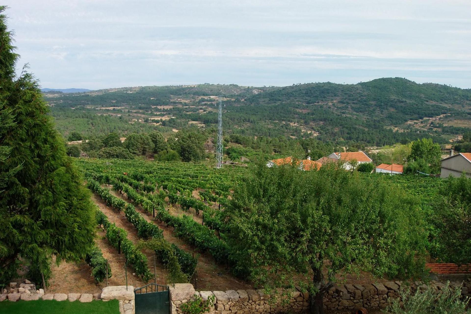 Descubra Casa Dona Urraca: O Refúgio Ideal para Todos - Imagem 45