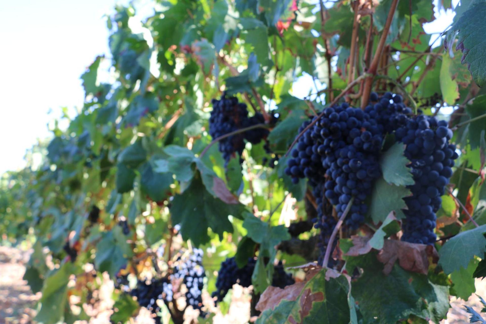 Descubra Casa Dona Urraca: O Refúgio Ideal para Todos - Imagem 46