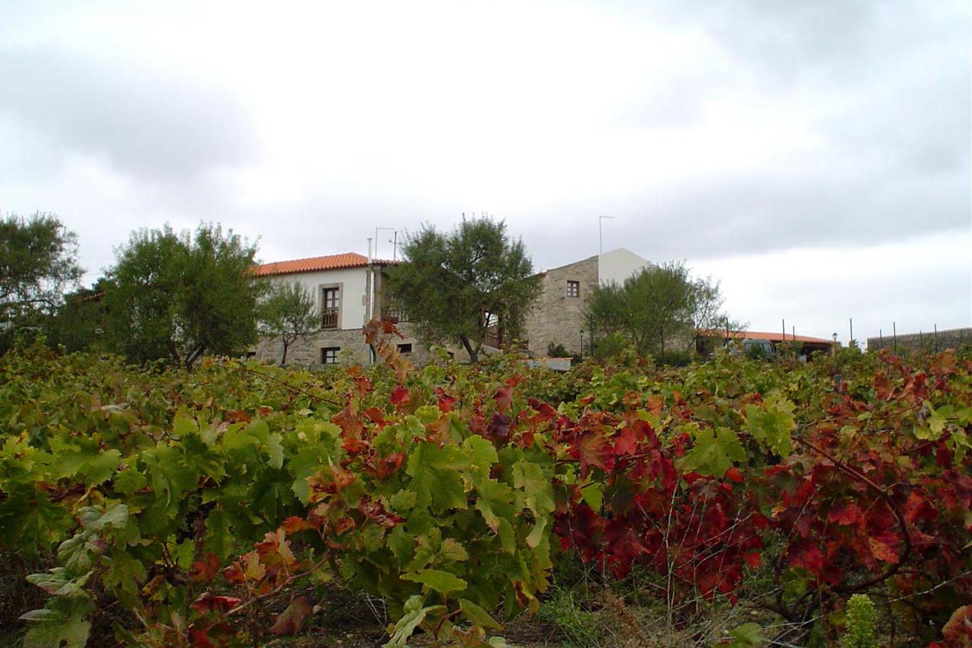 Descubra Casa Dona Urraca: O Refúgio Ideal para Todos - Imagem 47