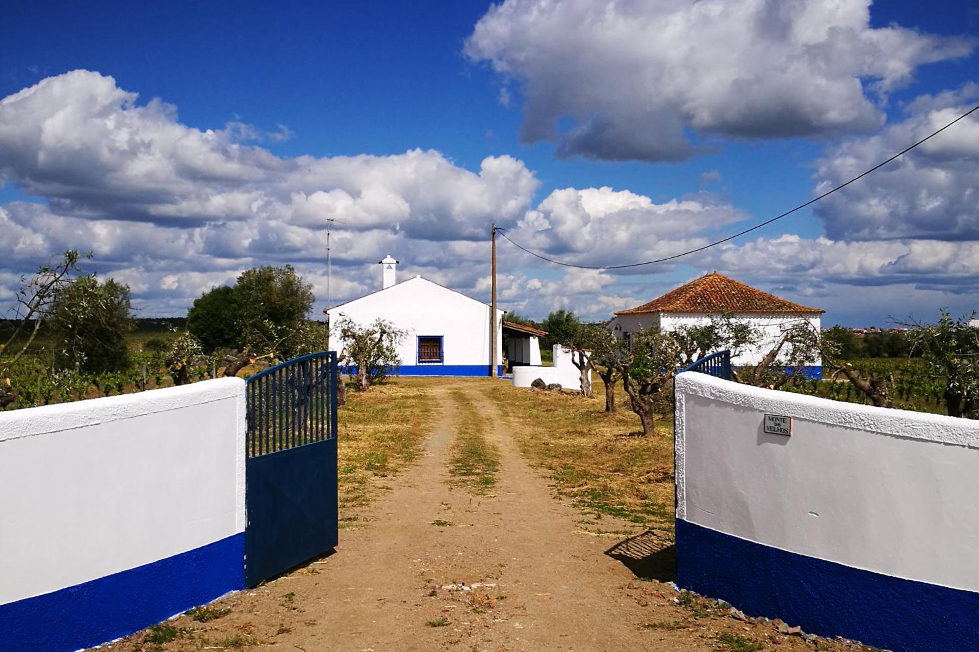 Descubra Casa Dona Urraca: O Refúgio Ideal para Todos - Imagem 60