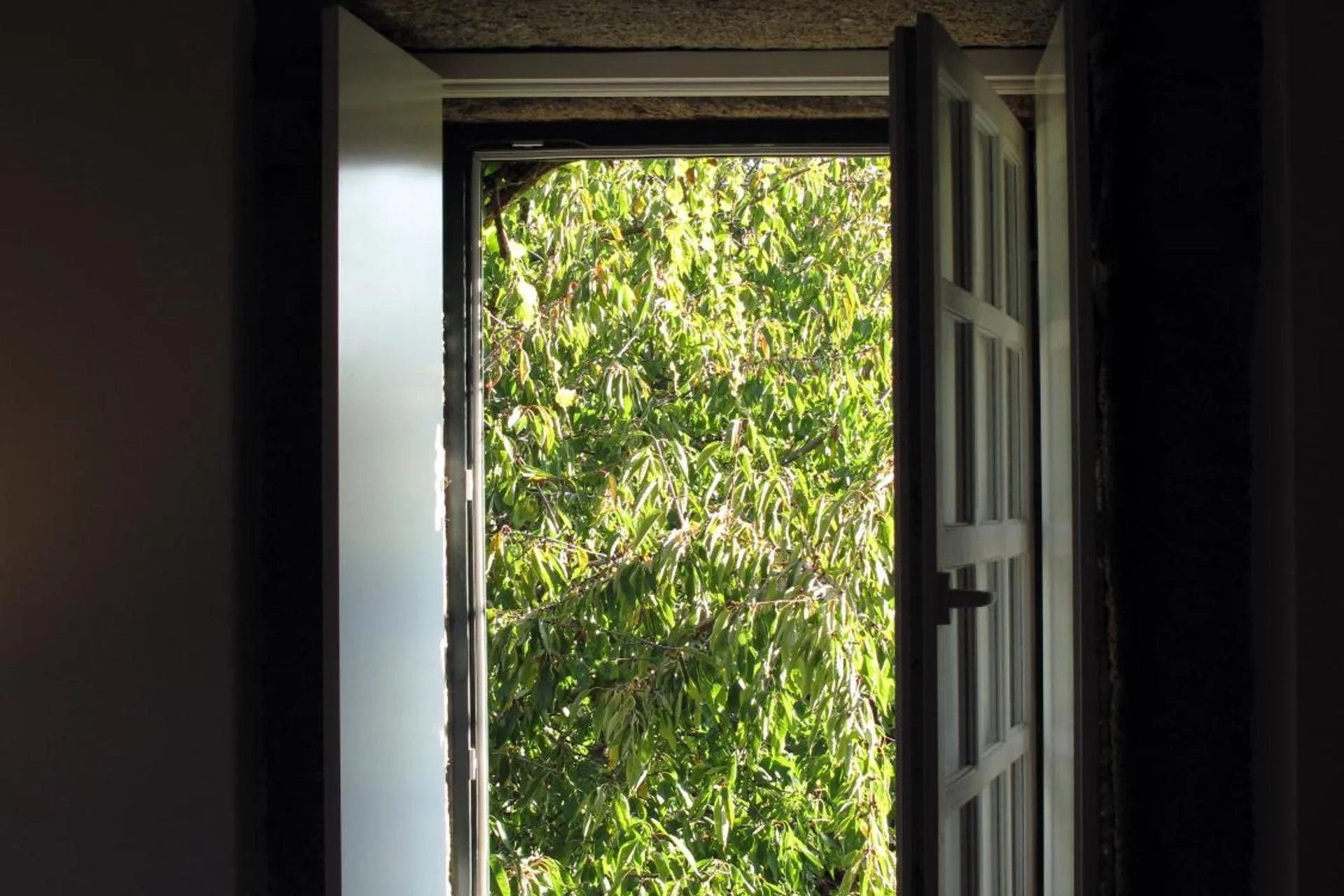 Descubra a Casa dos Barros: O Refúgio Perfeito para Todos - Imagem 11