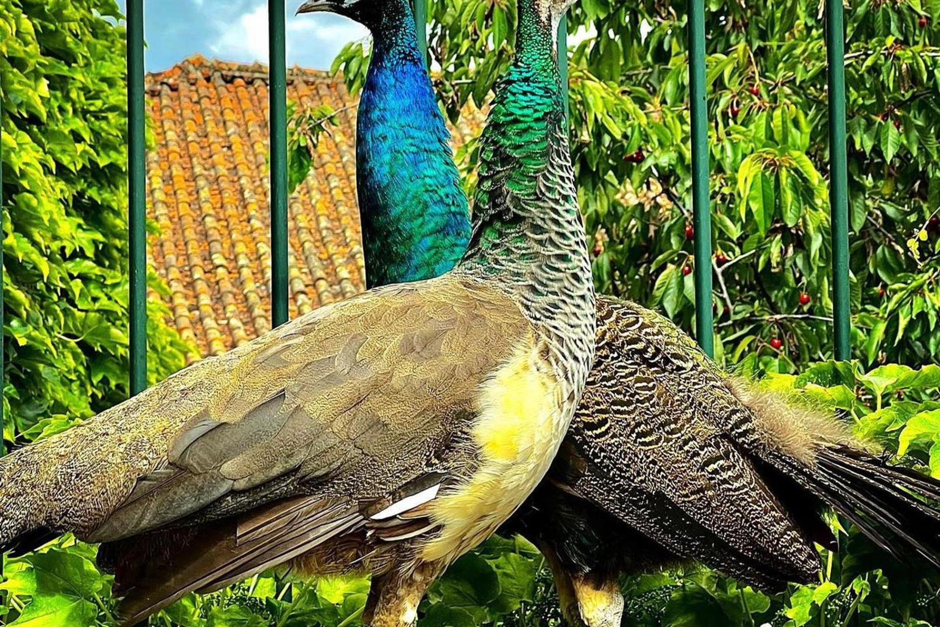 Descubra a Casa dos Barros: O Refúgio Perfeito para Todos - Imagem 20