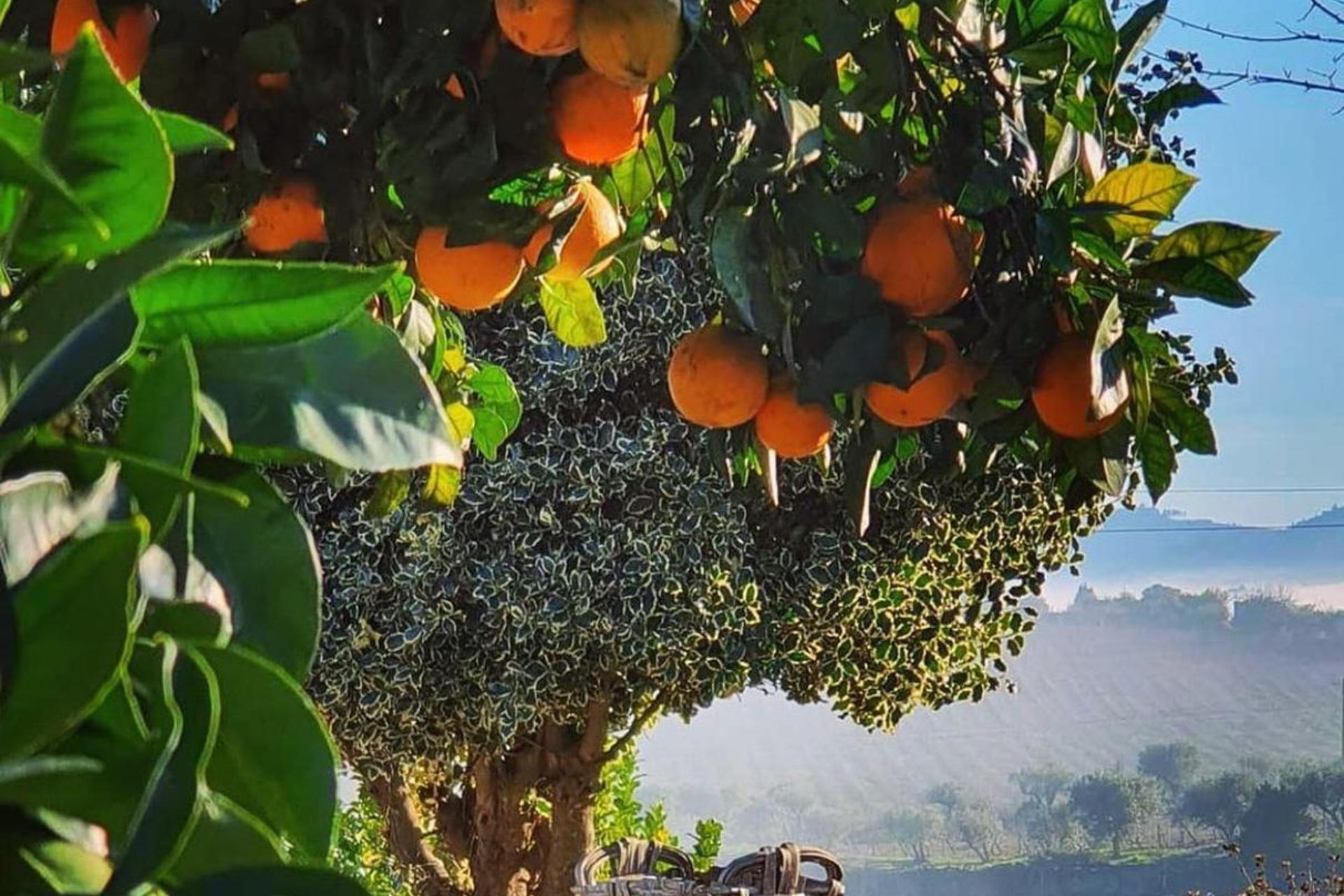 Descubra a Casa dos Barros: O Refúgio Perfeito para Todos - Imagem 23