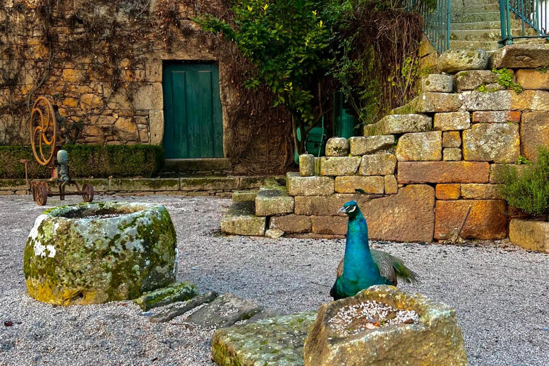 Descubra a Casa dos Barros: O Refúgio Perfeito para Todos - Imagem 26