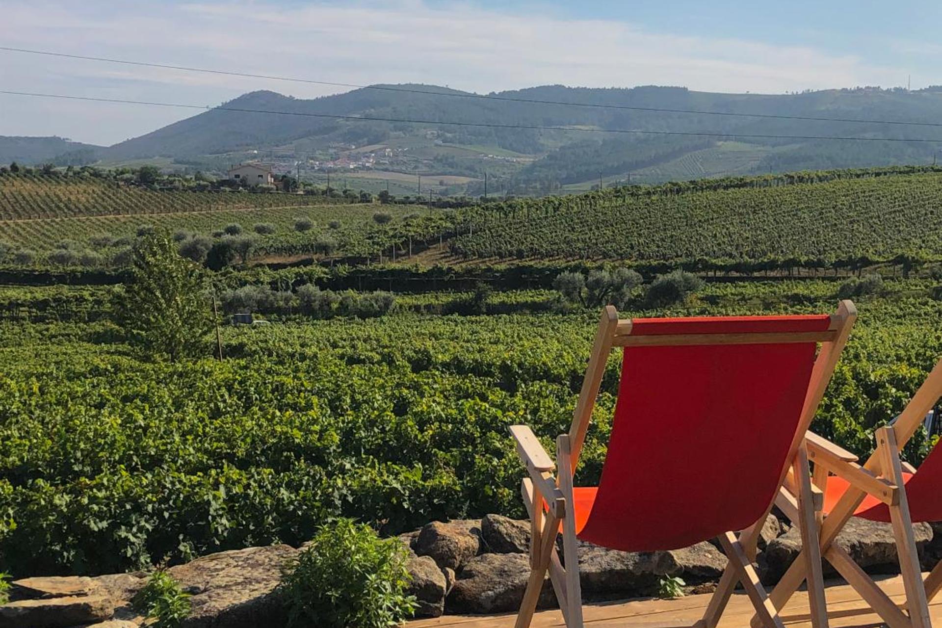 Descubra a Casa dos Barros: O Refúgio Perfeito para Todos - Imagem 30