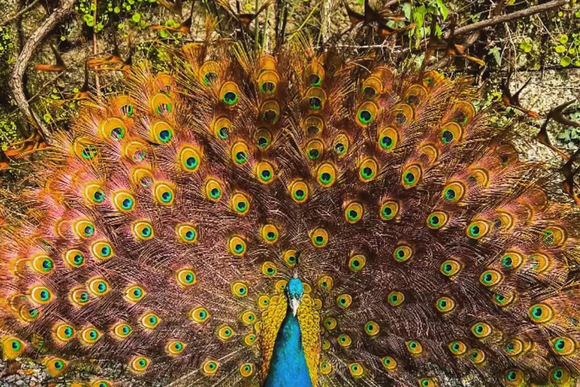 Descubra a Casa dos Barros: O Refúgio Perfeito para Todos - Imagem 31