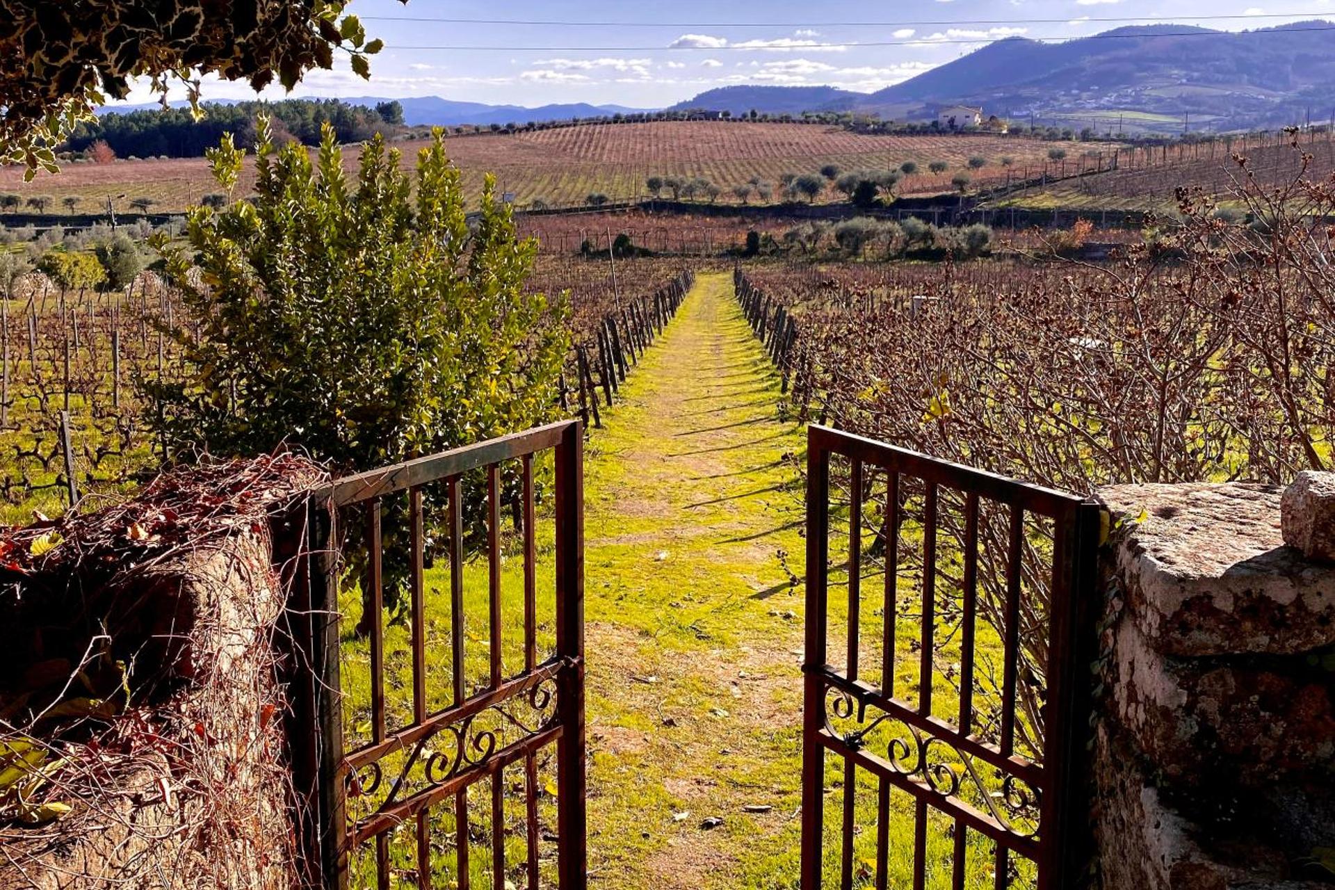 Descubra a Casa dos Barros: O Refúgio Perfeito para Todos - Imagem 32