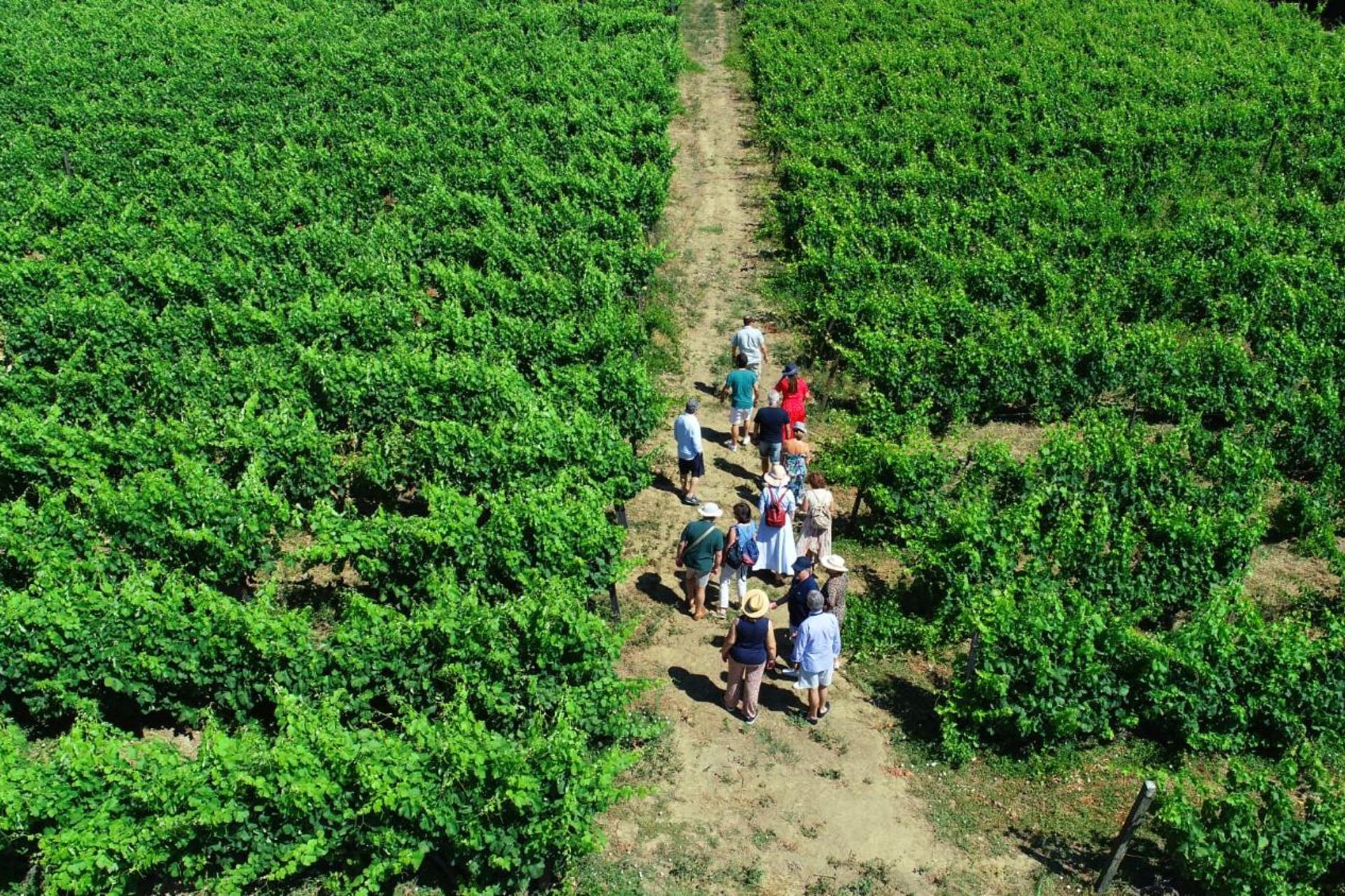 Descubra a Casa dos Barros: O Refúgio Perfeito para Todos - Imagem 33