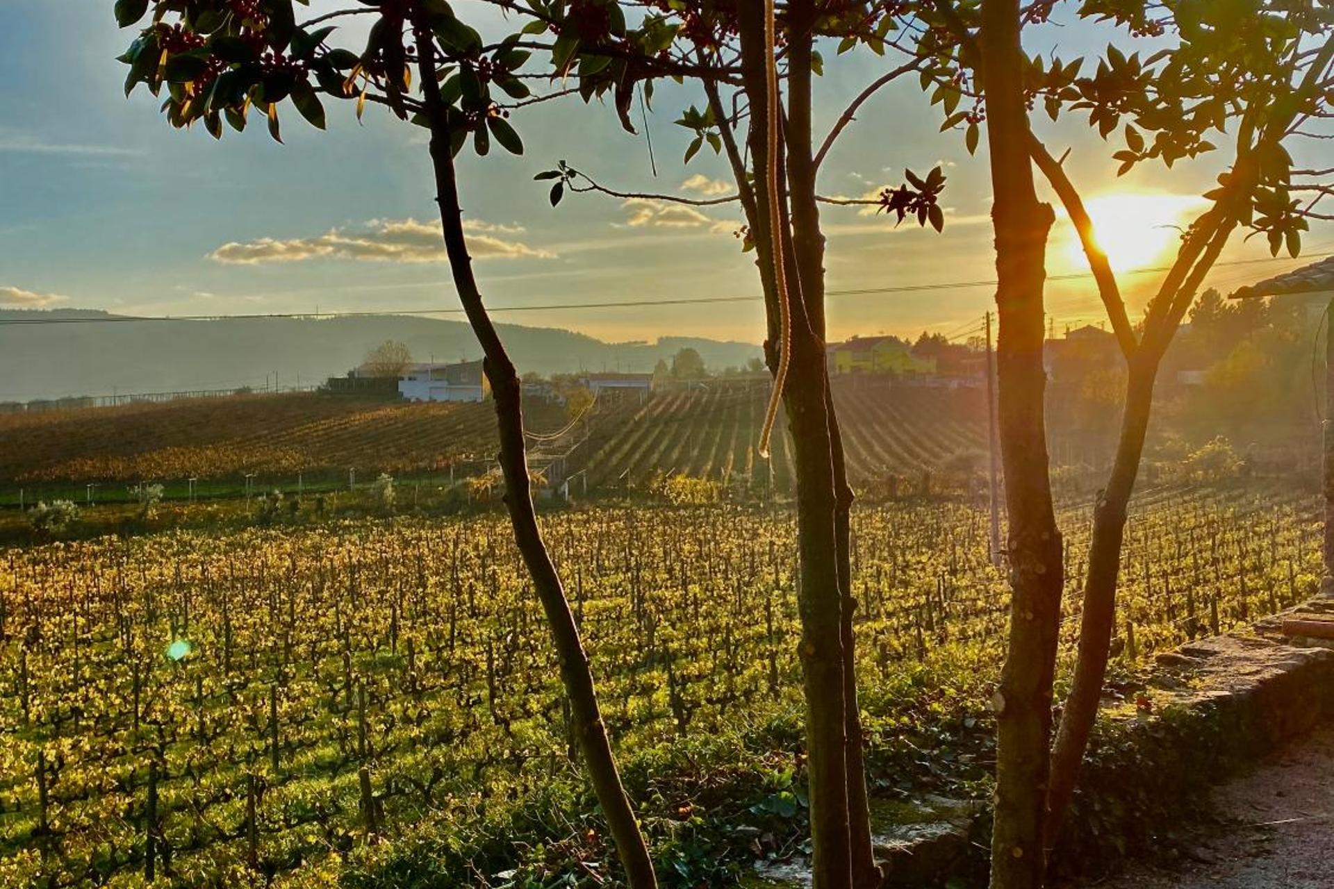 Descubra a Casa dos Barros: O Refúgio Perfeito para Todos - Imagem 39