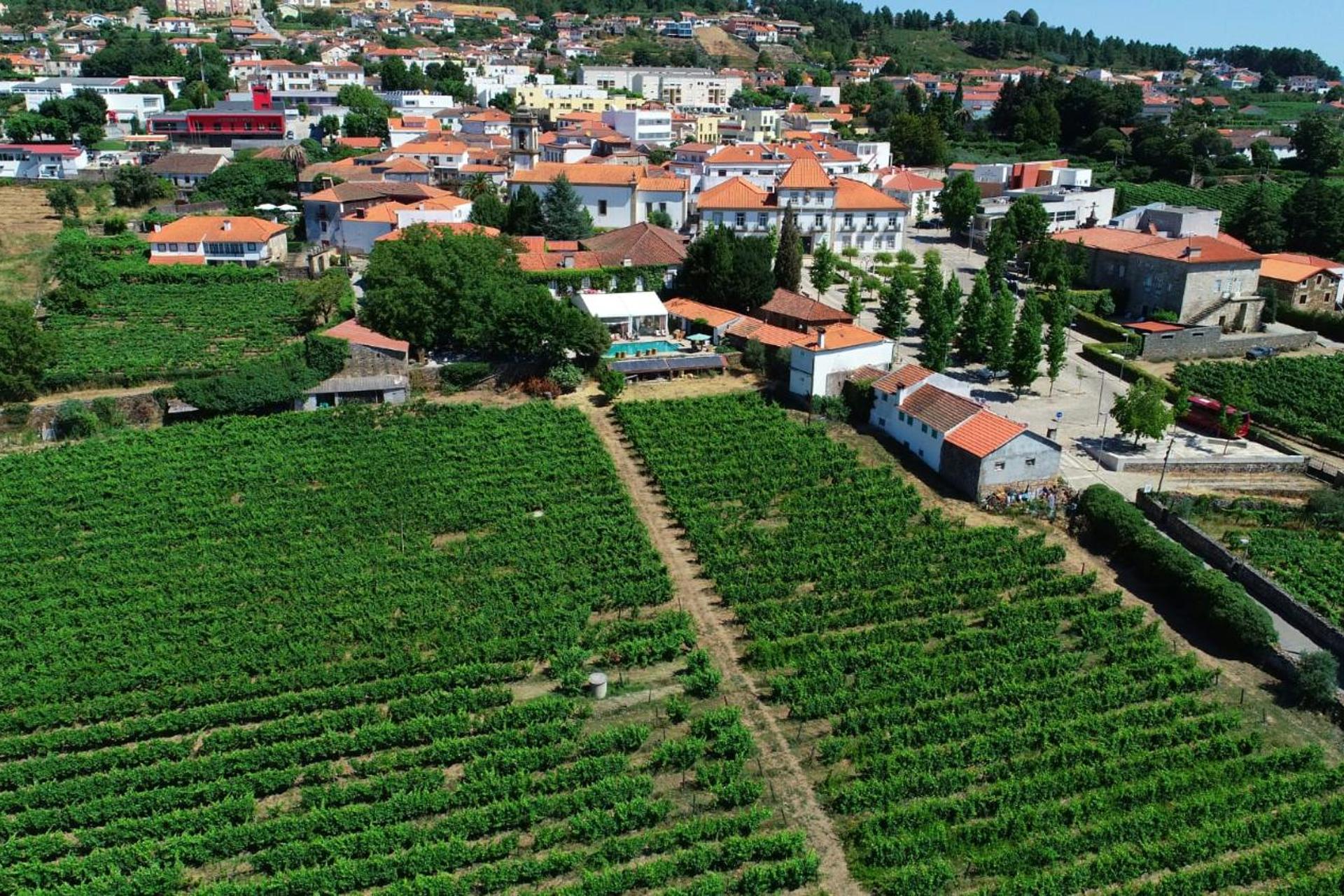 Descubra a Casa dos Barros: O Refúgio Perfeito para Todos - Imagem 46