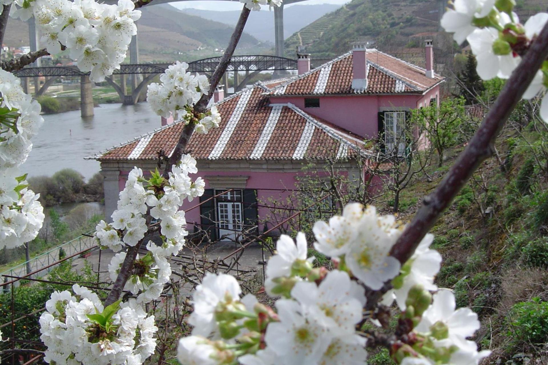 Casa Dos Varais: Uma Joia da Hospitalidade No Coração da Natureza - Imagem 101