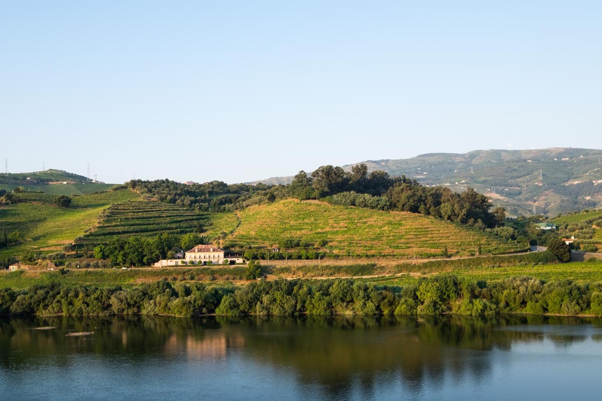 Casa Dos Varais: Uma Joia da Hospitalidade No Coração da Natureza - Imagem 22