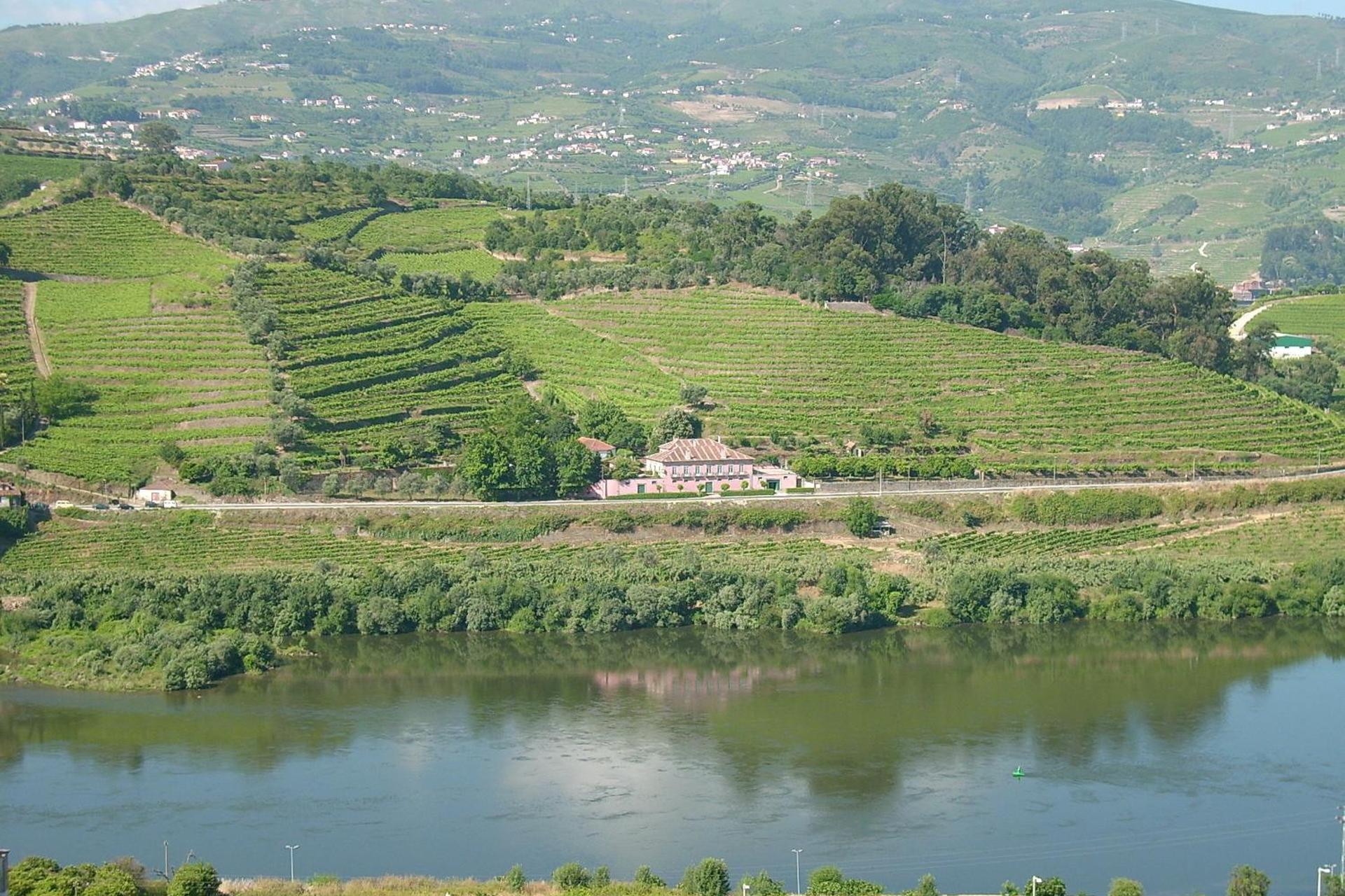 Casa Dos Varais: Uma Joia da Hospitalidade No Coração da Natureza - Imagem 30