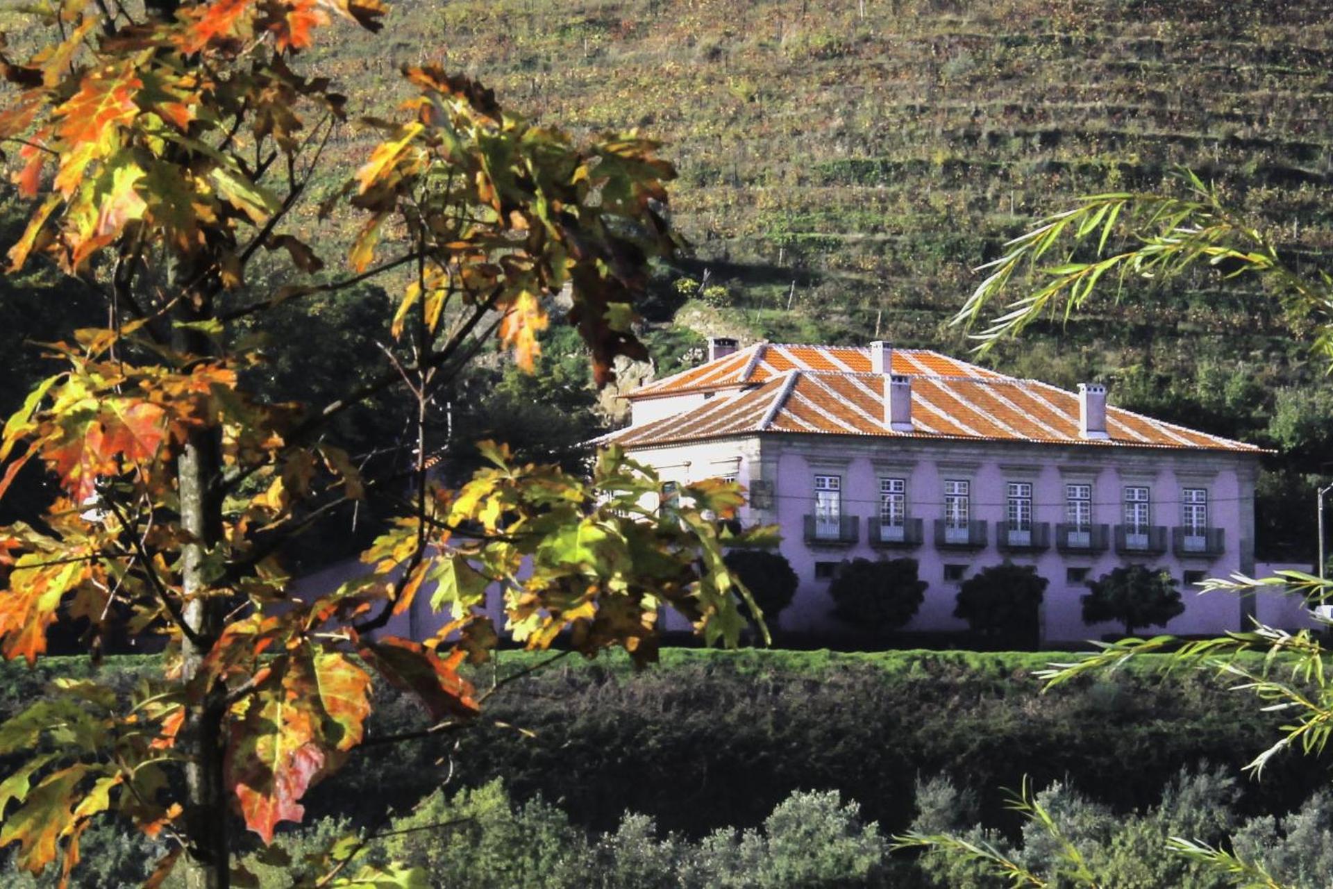 Casa Dos Varais: Uma Joia da Hospitalidade No Coração da Natureza - Imagem 43