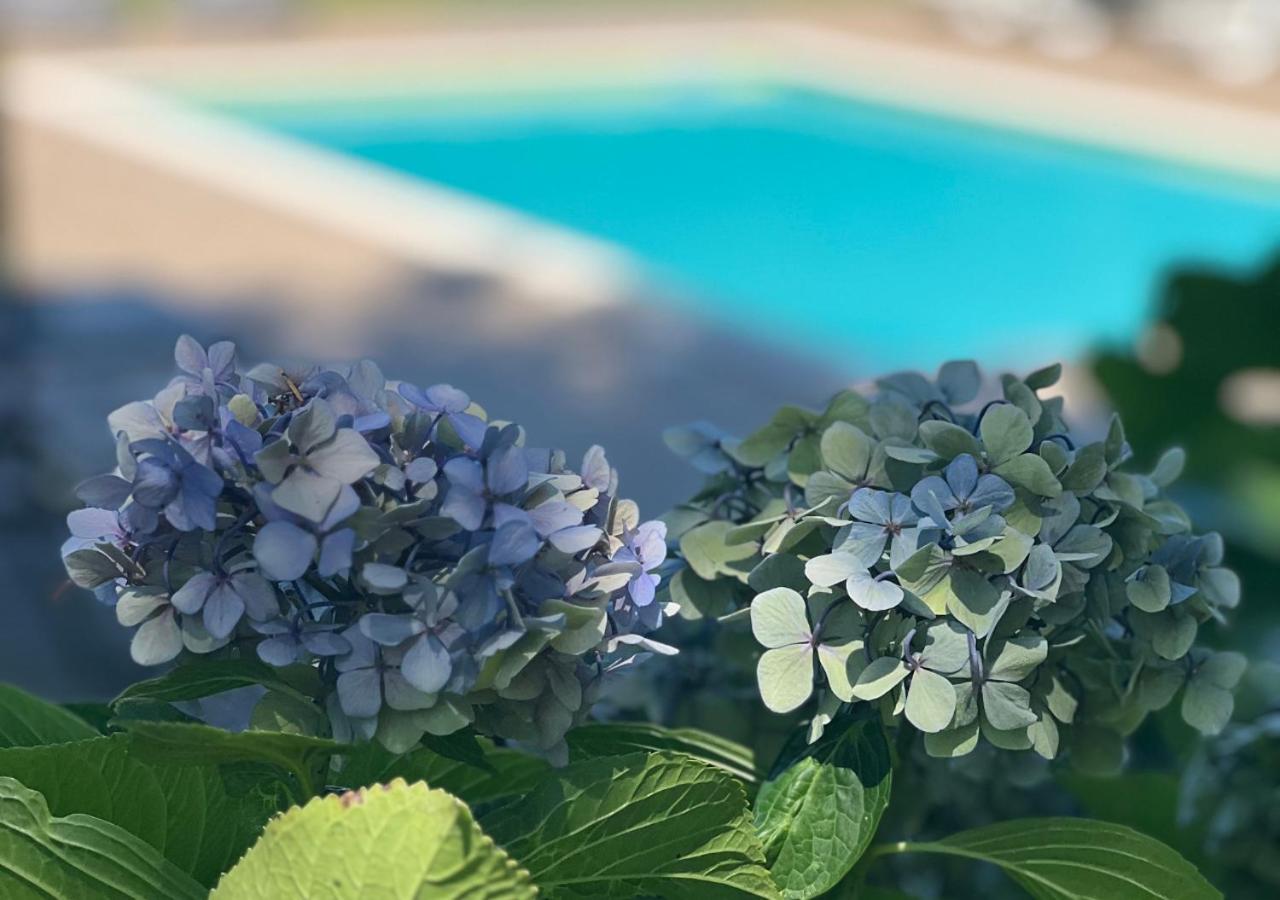 Descubra a Casa Moinho da Mouta: Onde o Conforto Encontra a Natureza - Imagem 18