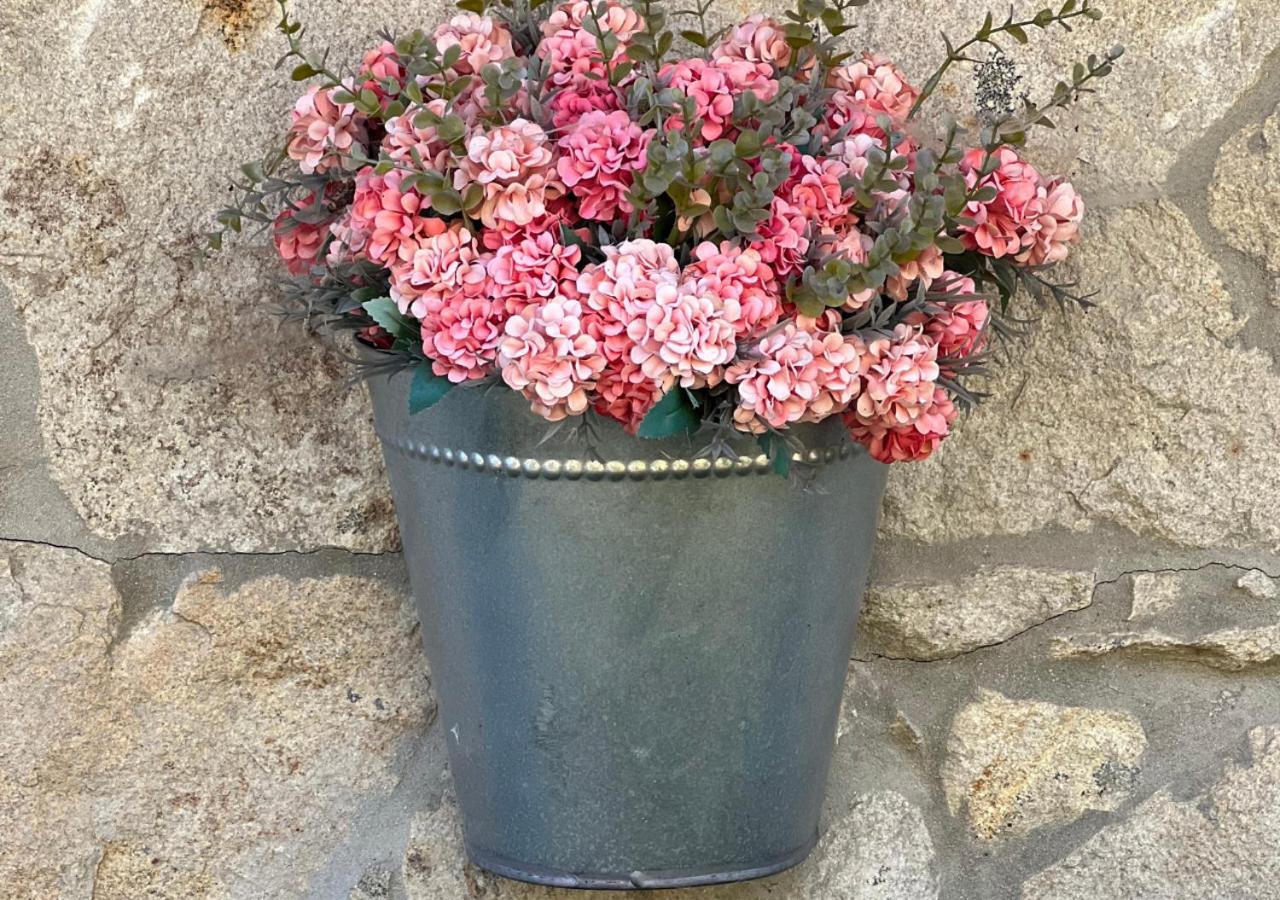 Descubra a Casa Moinho da Mouta: Onde o Conforto Encontra a Natureza - Imagem 27