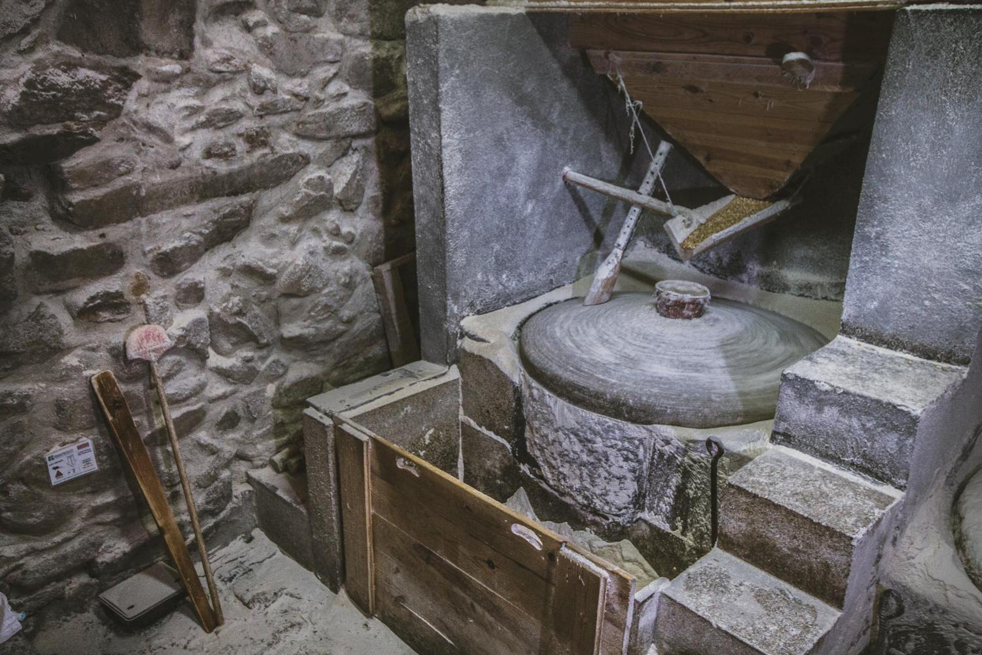 Descubra a Casa Moinho da Mouta: Onde o Conforto Encontra a Natureza - Imagem 39