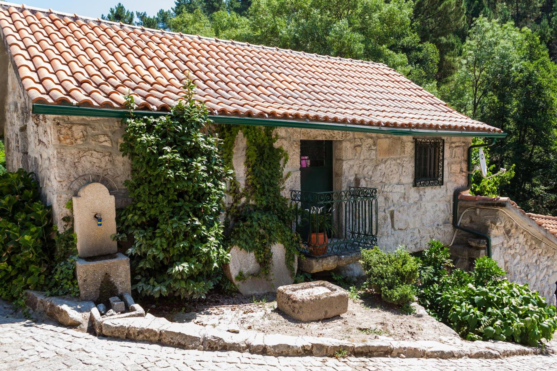 Descubra a Casa Moinho da Mouta: Onde o Conforto Encontra a Natureza - Imagem 44
