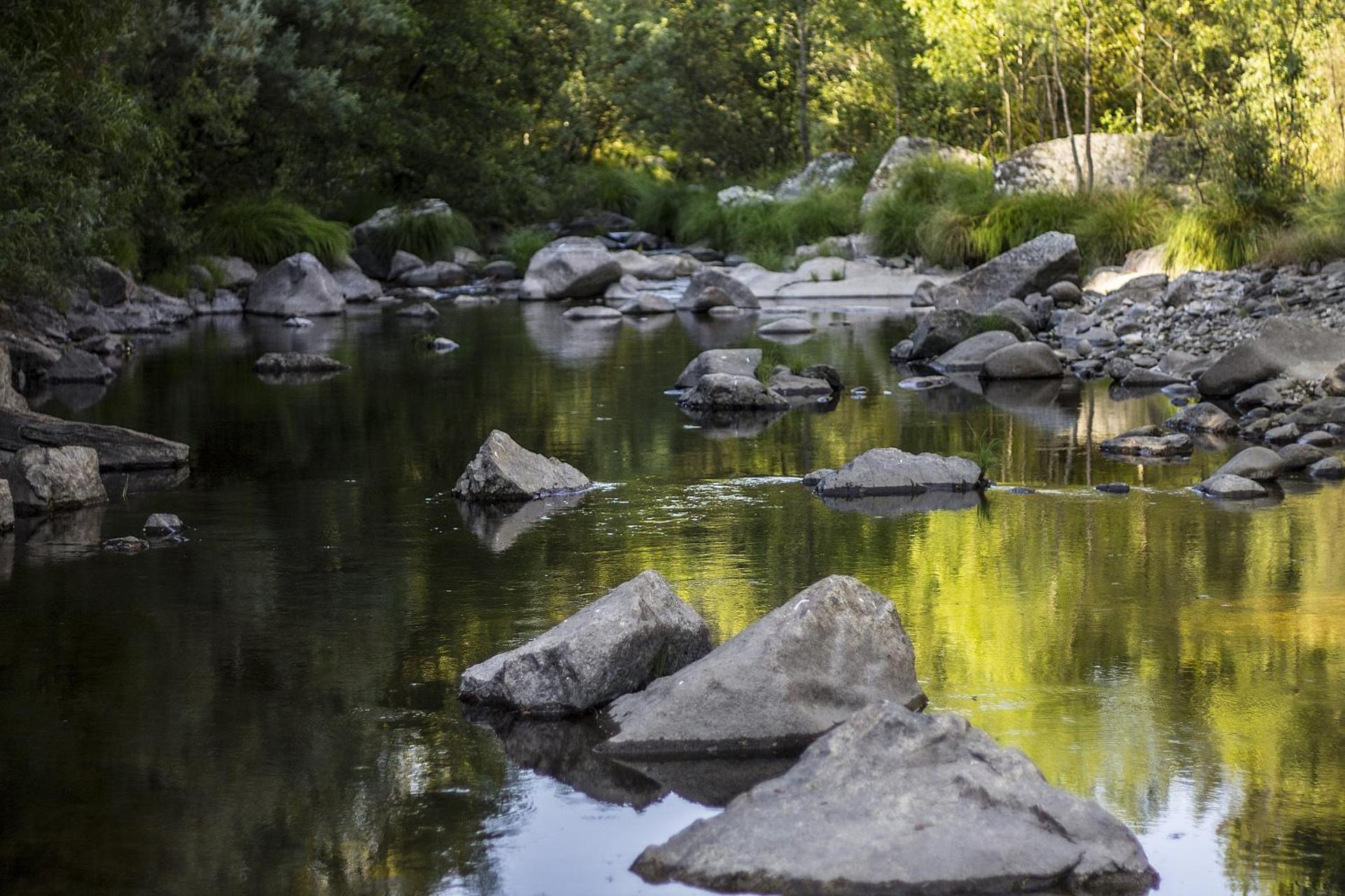 Descubra a Casa Moinho da Mouta: Onde o Conforto Encontra a Natureza - Imagem 52