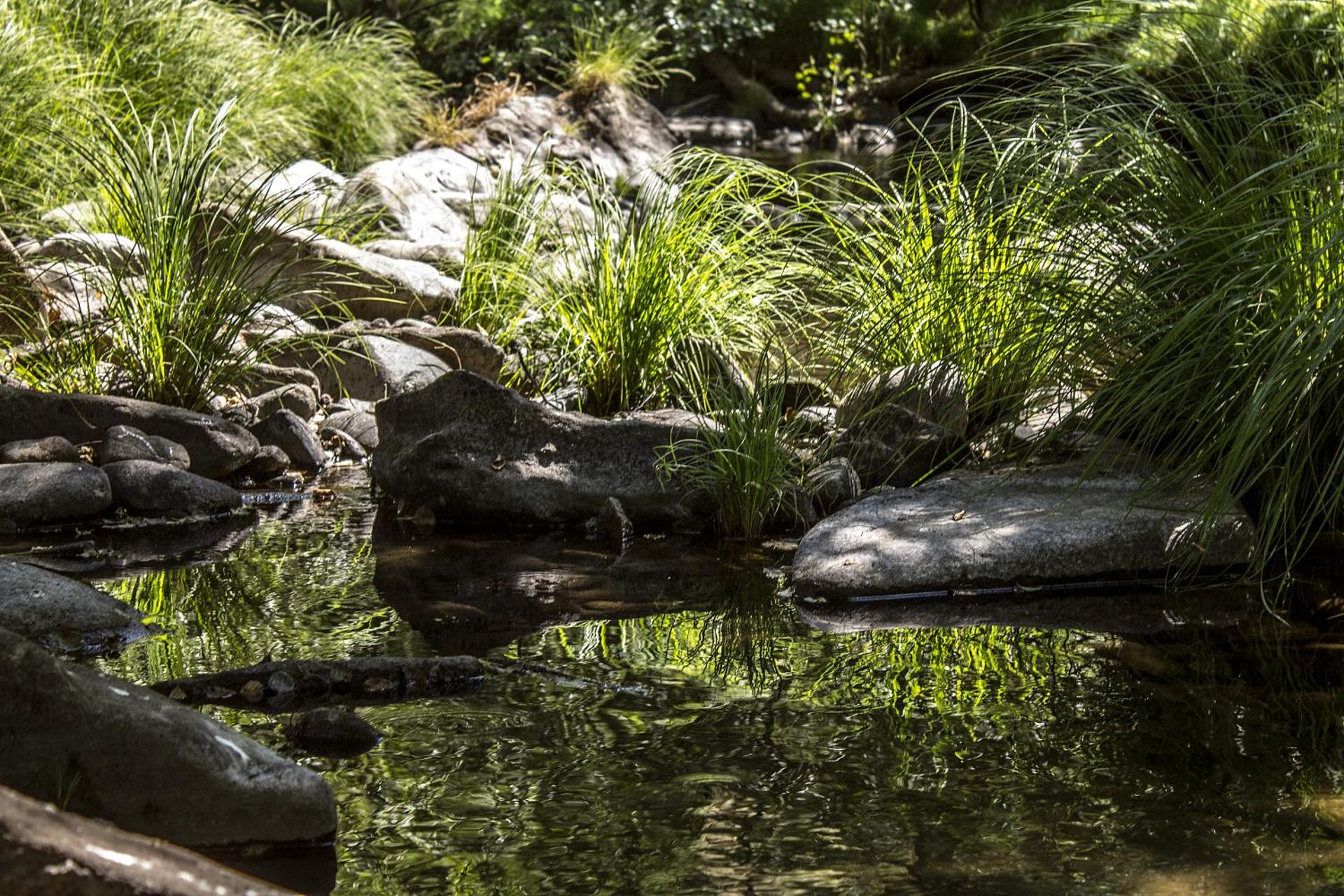 Descubra a Casa Moinho da Mouta: Onde o Conforto Encontra a Natureza - Imagem 53