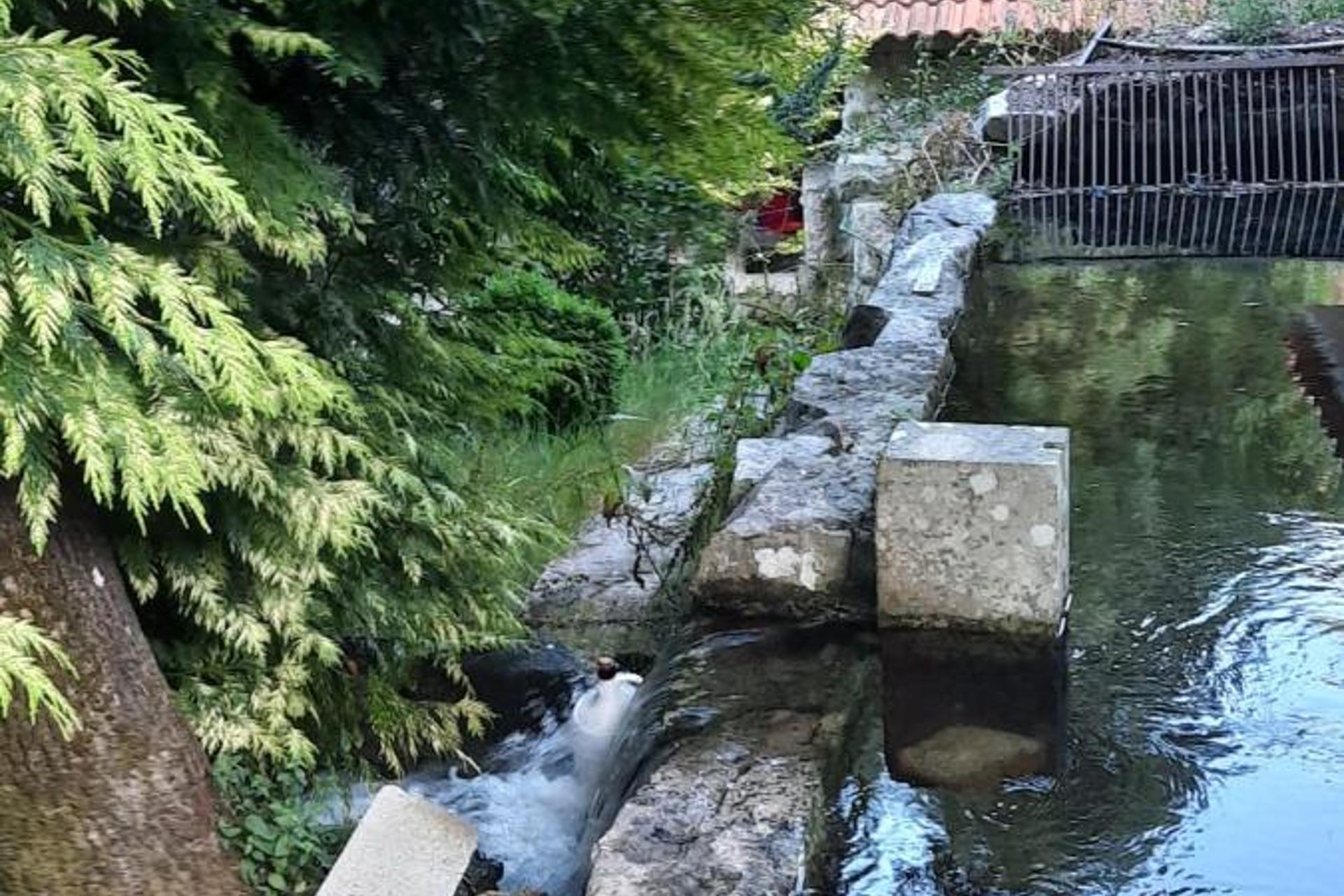 Descubra a Casa Moinho da Mouta: Onde o Conforto Encontra a Natureza - Imagem 54