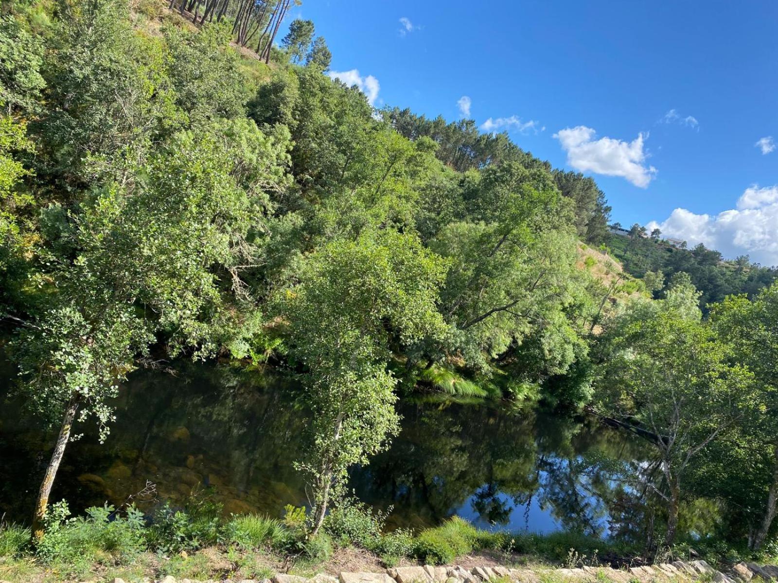 Descubra a Casa Moinho da Mouta: Onde o Conforto Encontra a Natureza - Imagem 55