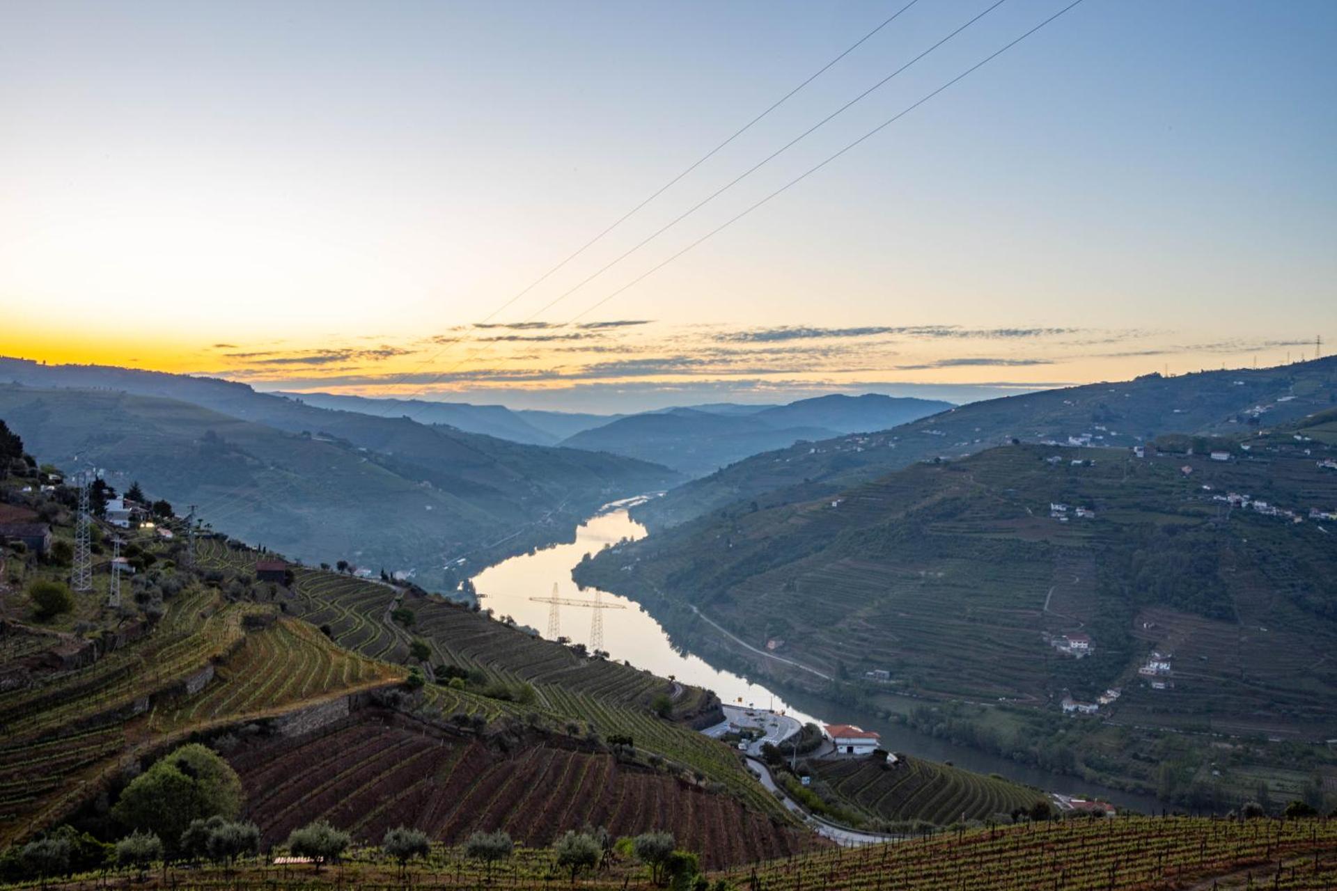 Descubra a Casa Vale do Douro: A Joia da Hospitalidade Portuguesa - Imagem 20