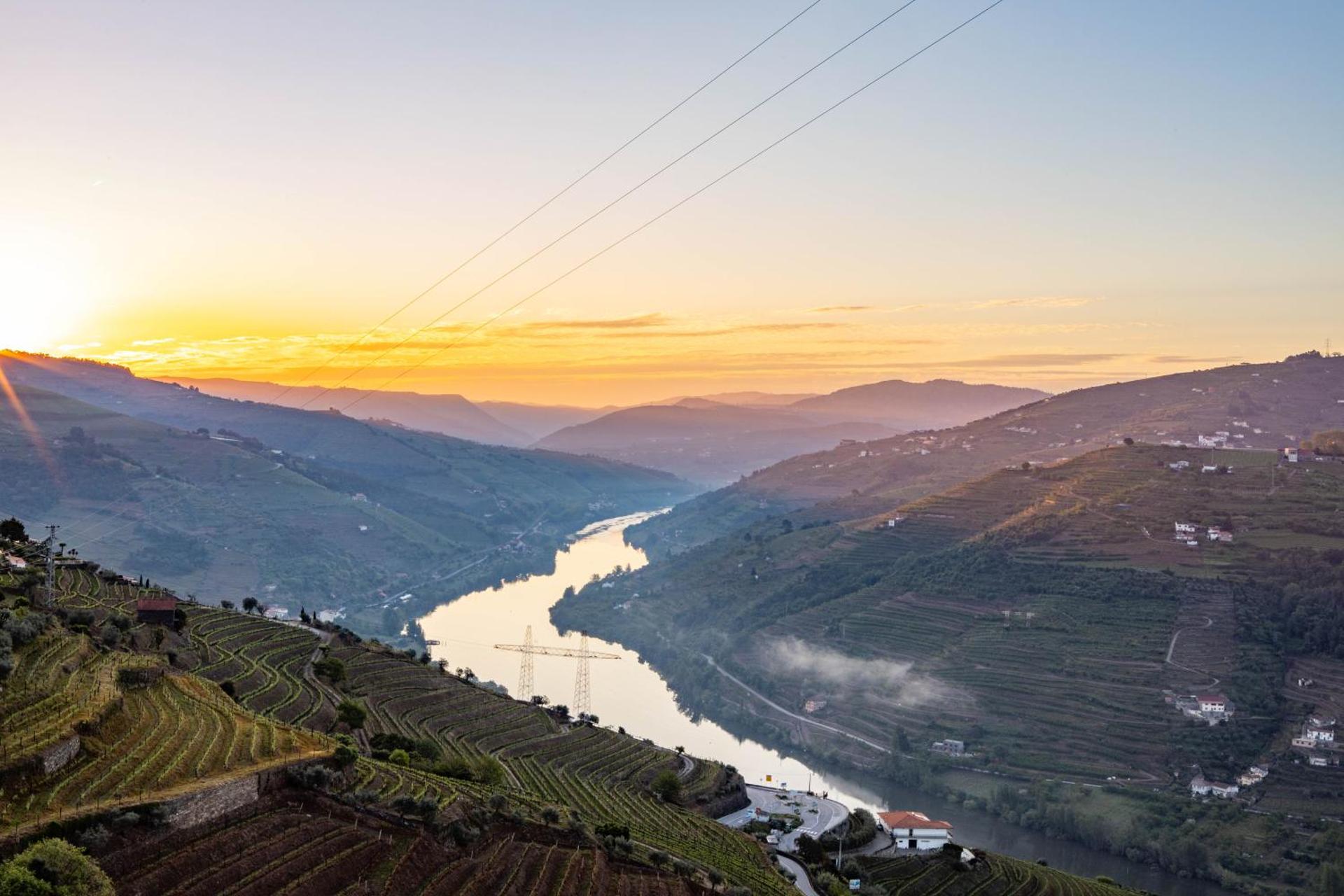Descubra a Casa Vale do Douro: A Joia da Hospitalidade Portuguesa - Imagem 21