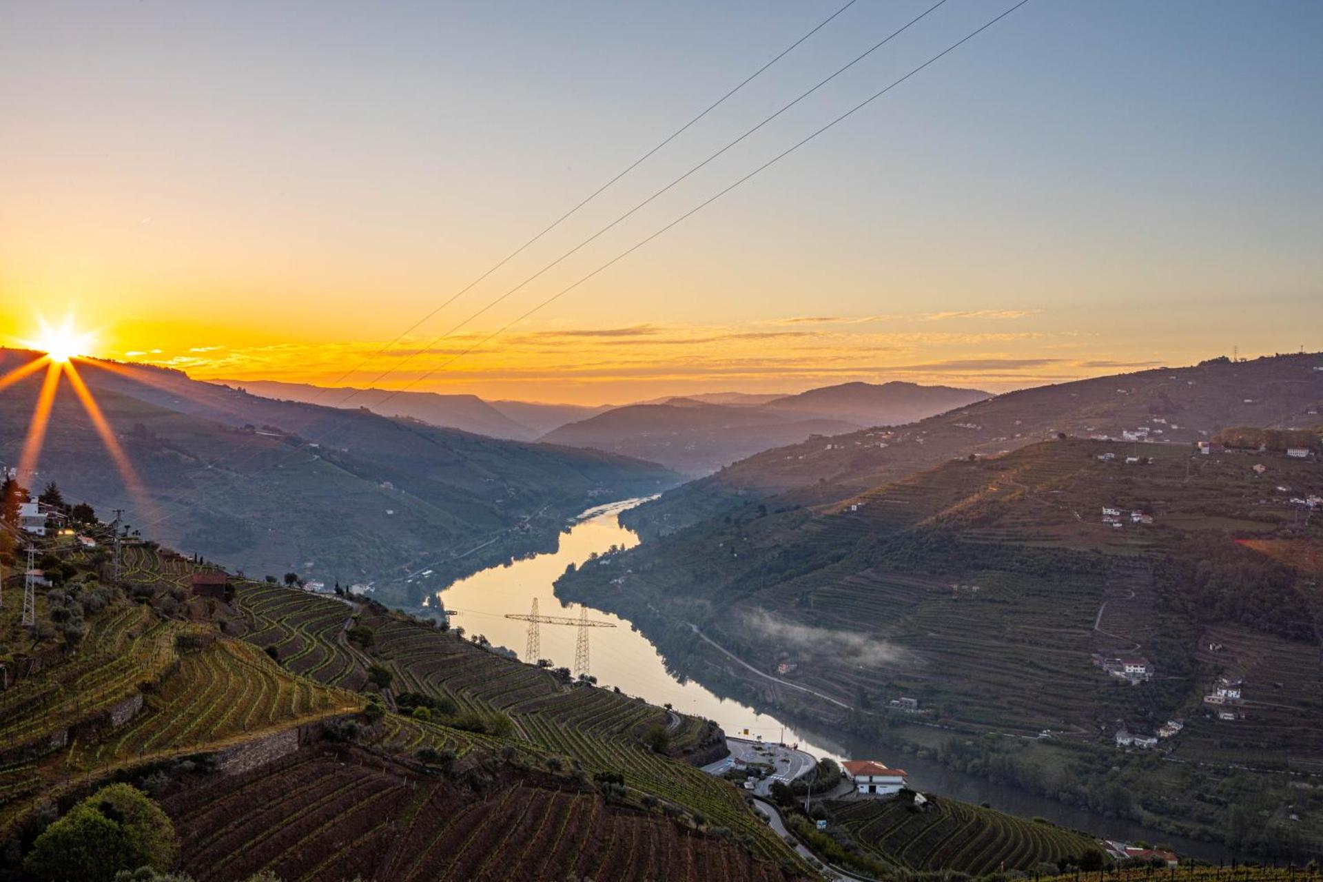 Descubra a Casa Vale do Douro: A Joia da Hospitalidade Portuguesa - Imagem 22