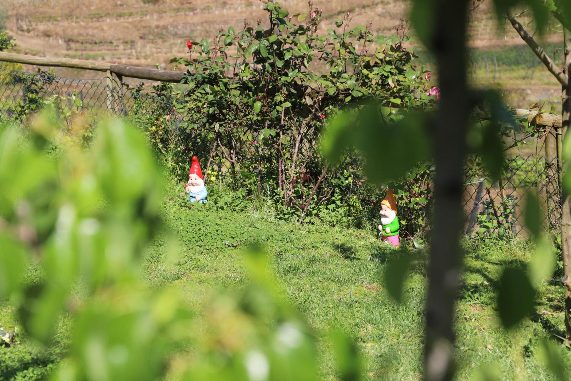 Descubra a Casa Vale do Douro: A Joia da Hospitalidade Portuguesa - Imagem 24