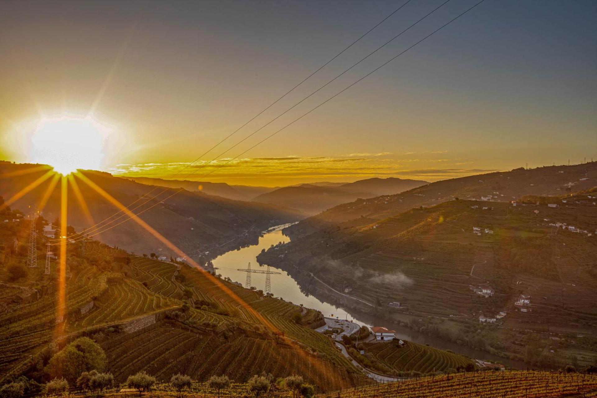 Descubra a Casa Vale do Douro: A Joia da Hospitalidade Portuguesa - Imagem 68