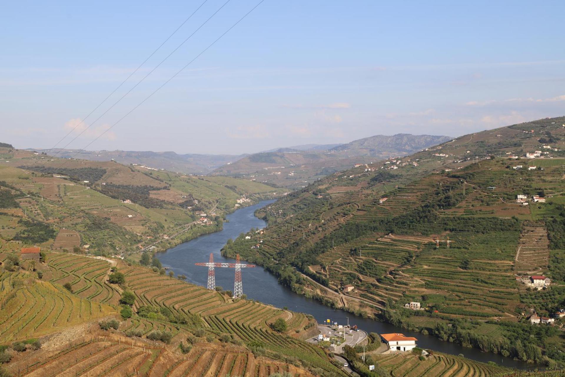 Descubra a Casa Vale do Douro: A Joia da Hospitalidade Portuguesa - Imagem 71