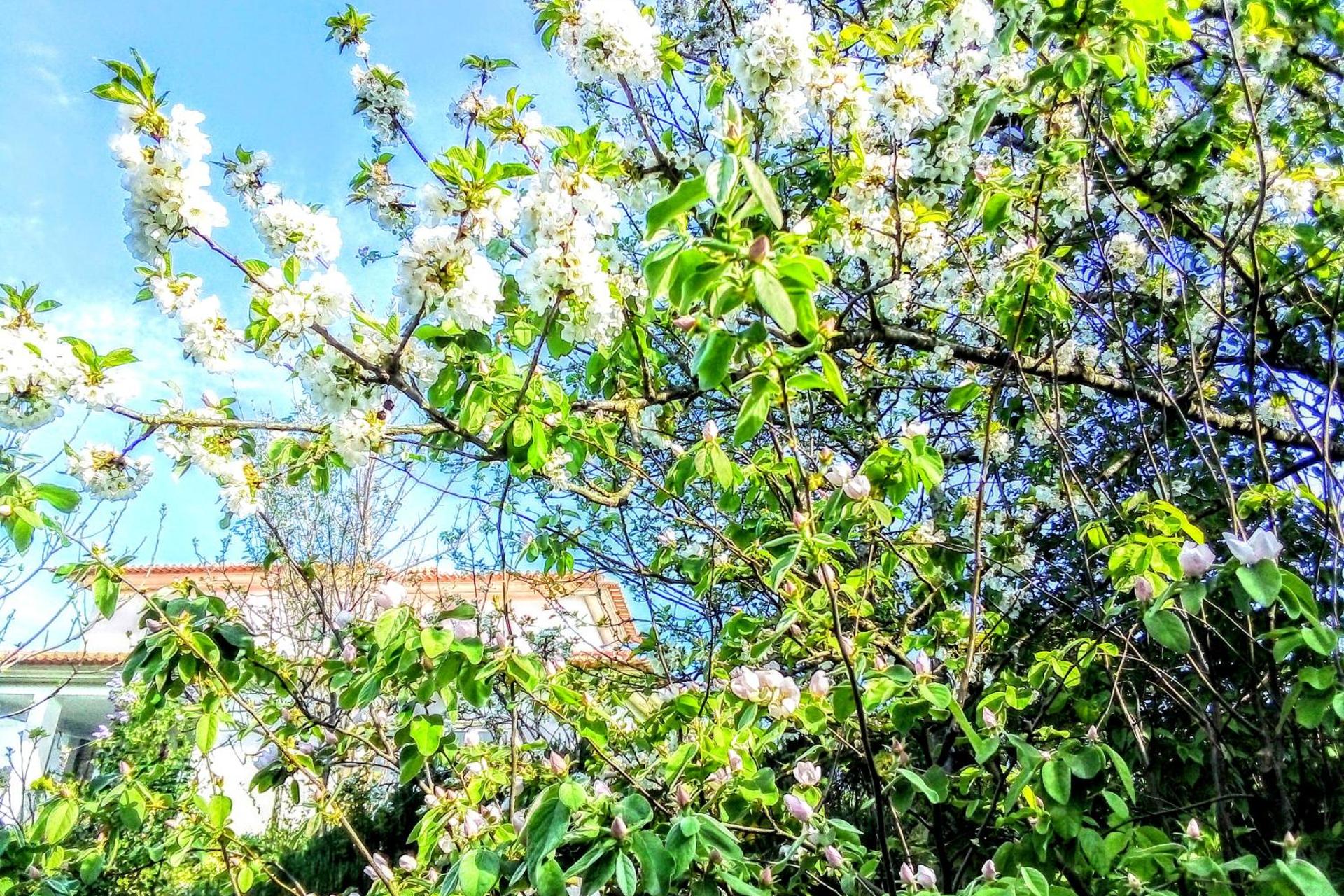 Descubra a Casa Vale do Rio Ovil: Uma Experiência Incomparável em Hospitalidade - Imagem 19