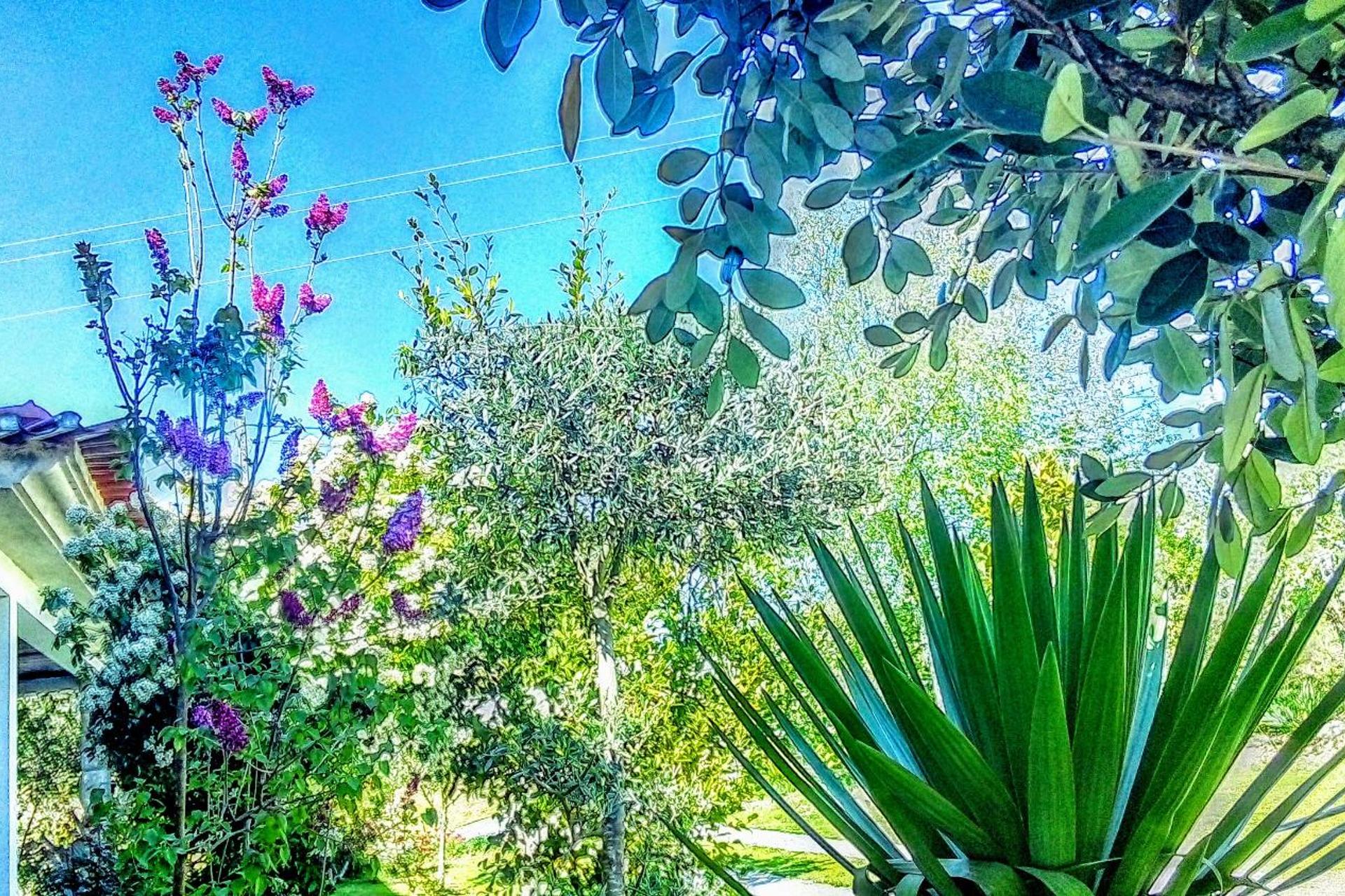 Descubra a Casa Vale do Rio Ovil: Uma Experiência Incomparável em Hospitalidade - Imagem 20