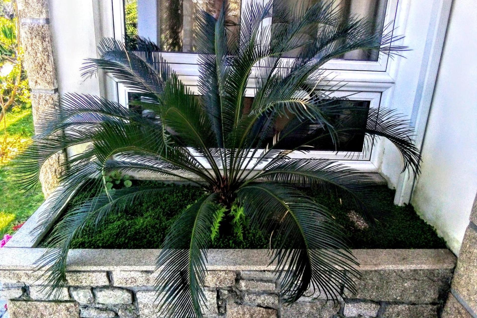 Descubra a Casa Vale do Rio Ovil: Uma Experiência Incomparável em Hospitalidade - Imagem 23