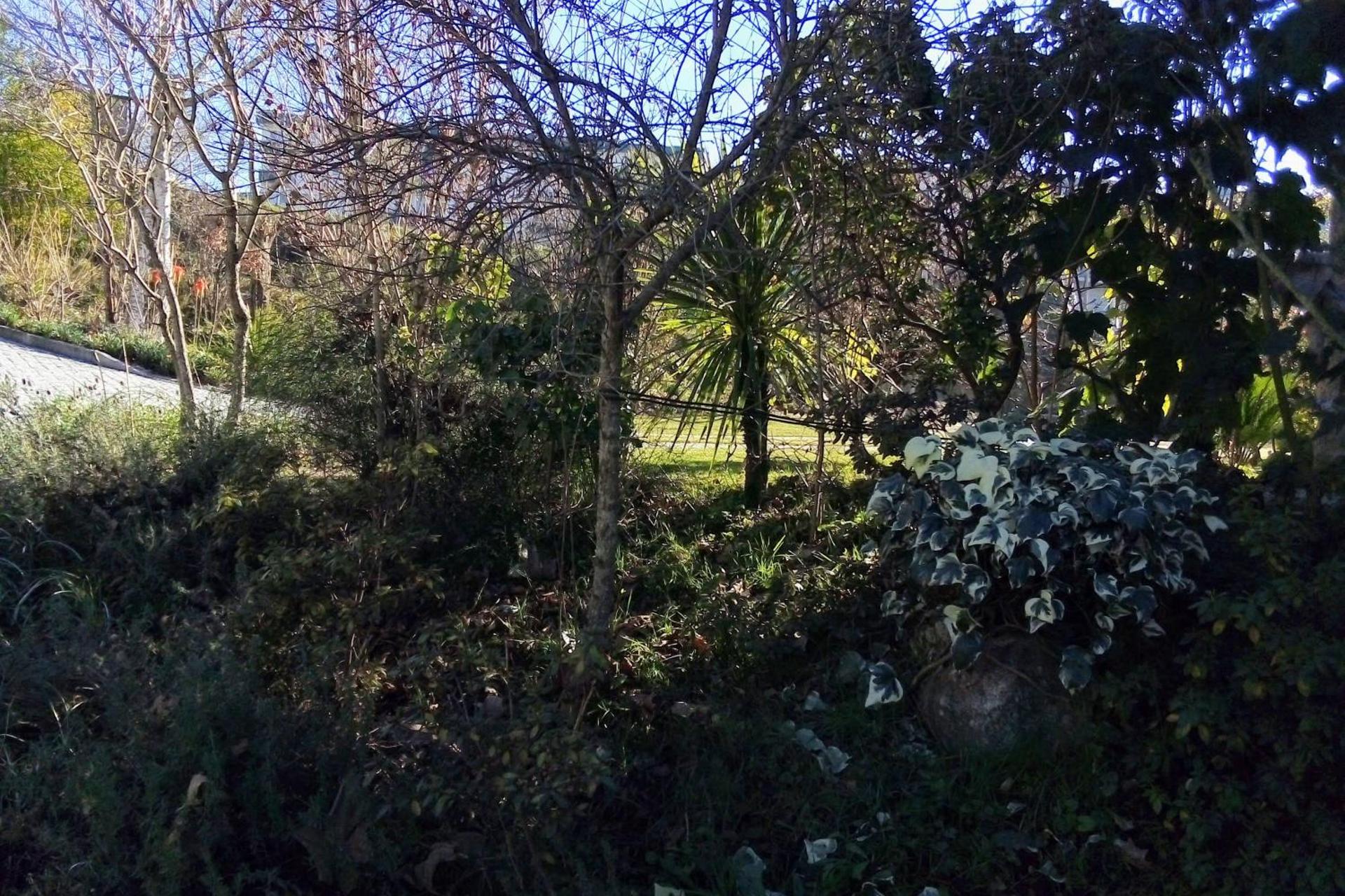 Descubra a Casa Vale do Rio Ovil: Uma Experiência Incomparável em Hospitalidade - Imagem 41