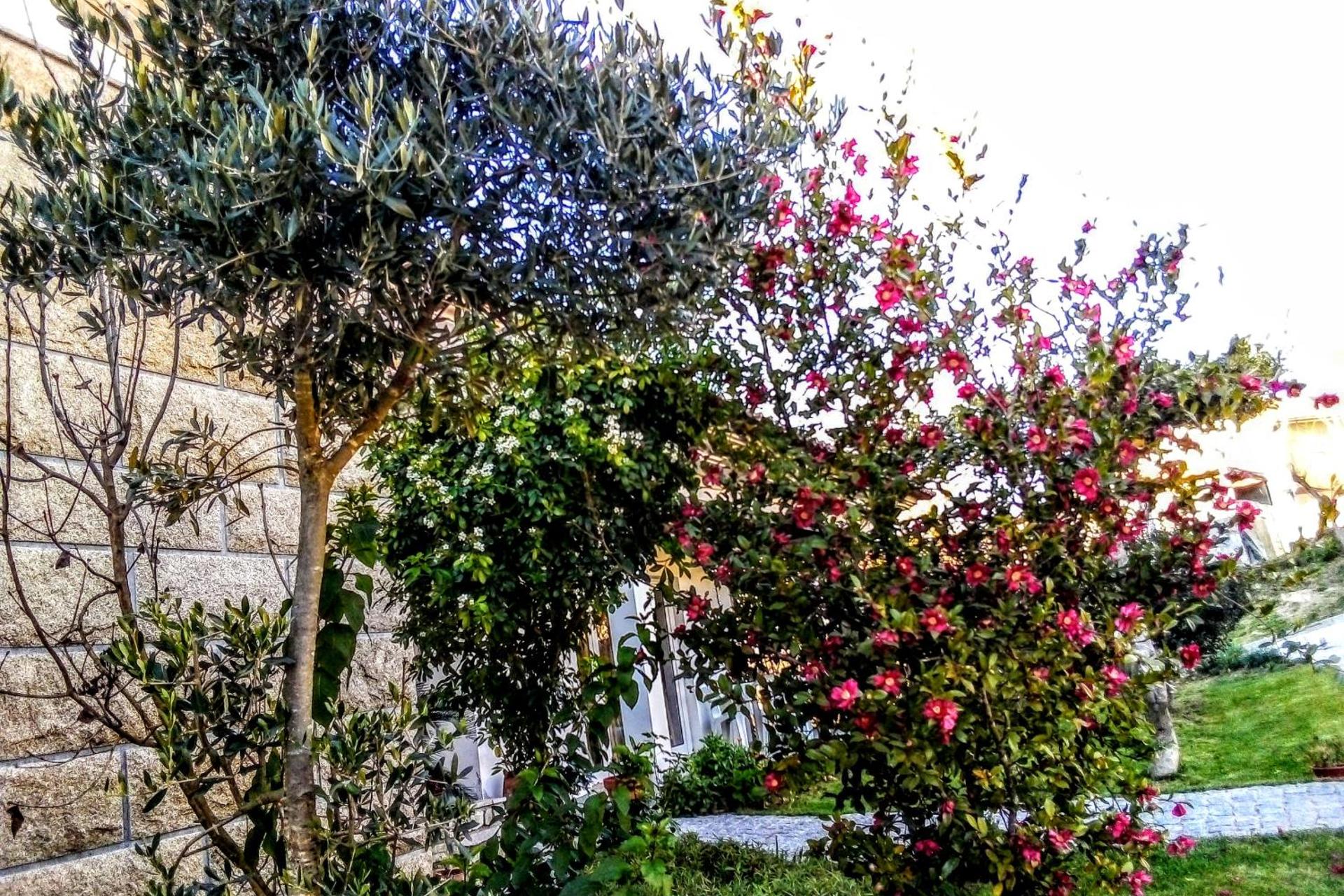 Descubra a Casa Vale do Rio Ovil: Uma Experiência Incomparável em Hospitalidade - Imagem 47