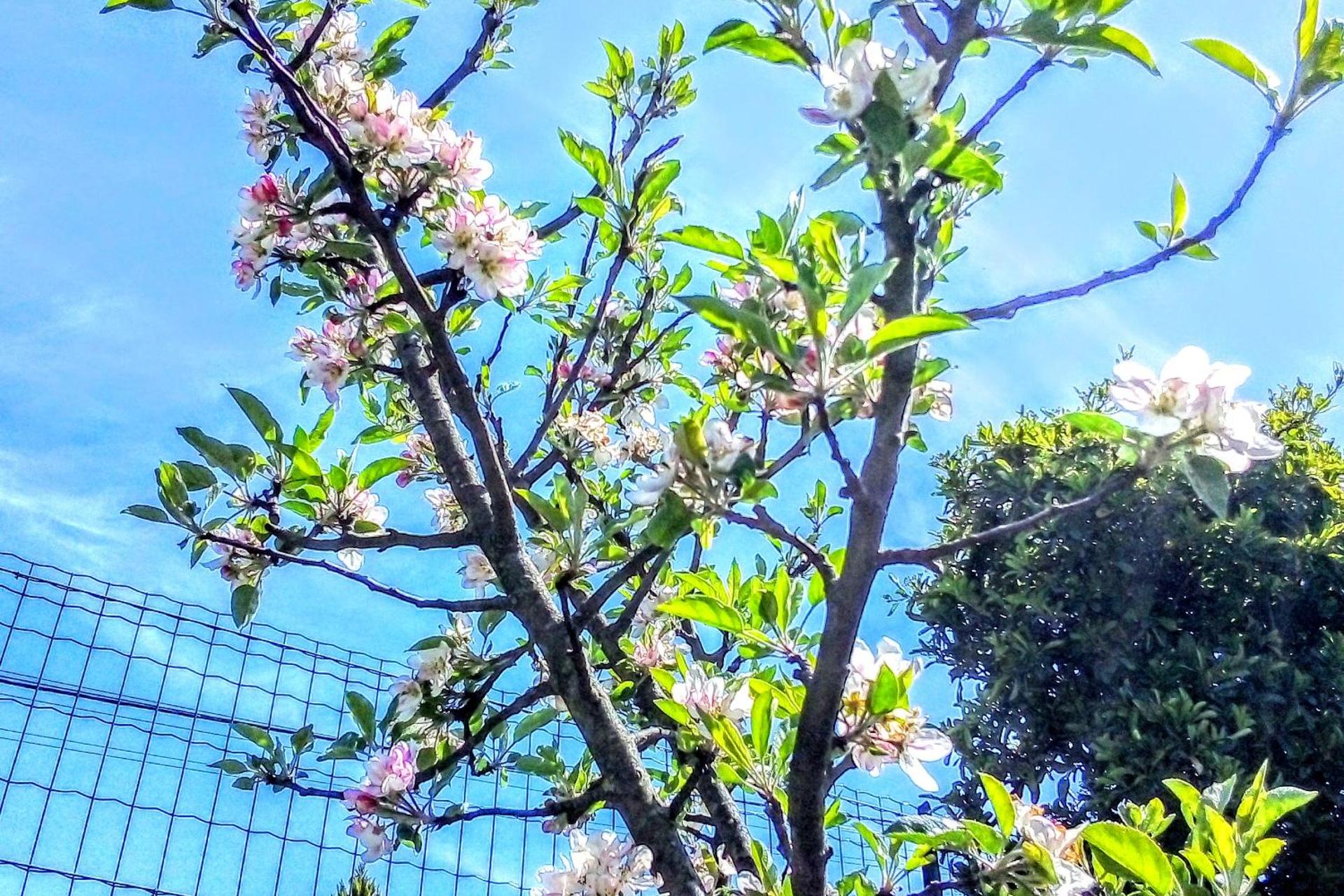 Descubra a Casa Vale do Rio Ovil: Uma Experiência Incomparável em Hospitalidade - Imagem 63