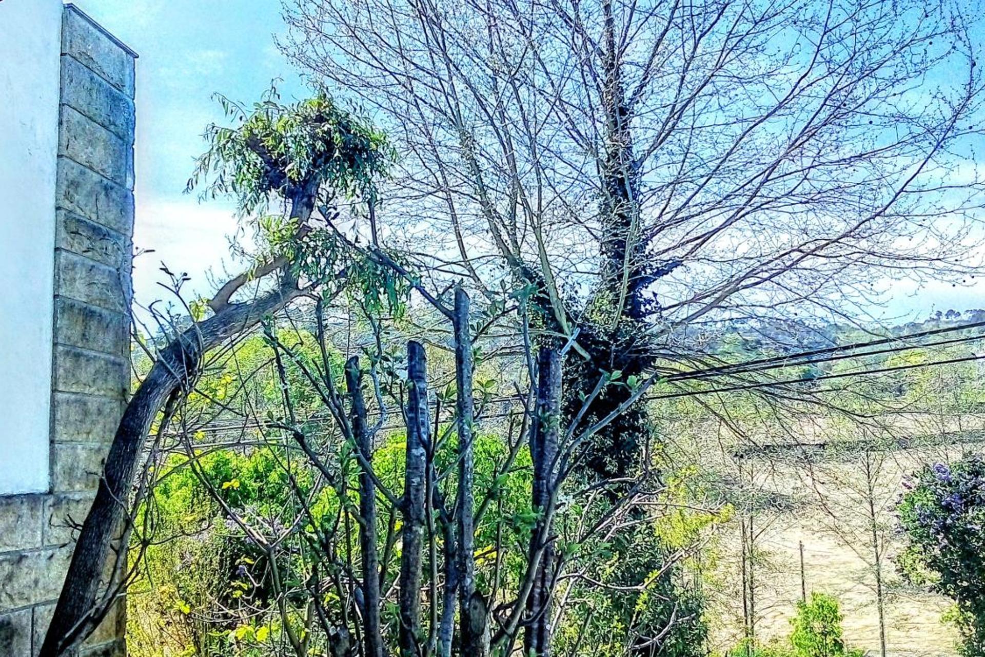 Descubra a Casa Vale do Rio Ovil: Uma Experiência Incomparável em Hospitalidade - Imagem 67