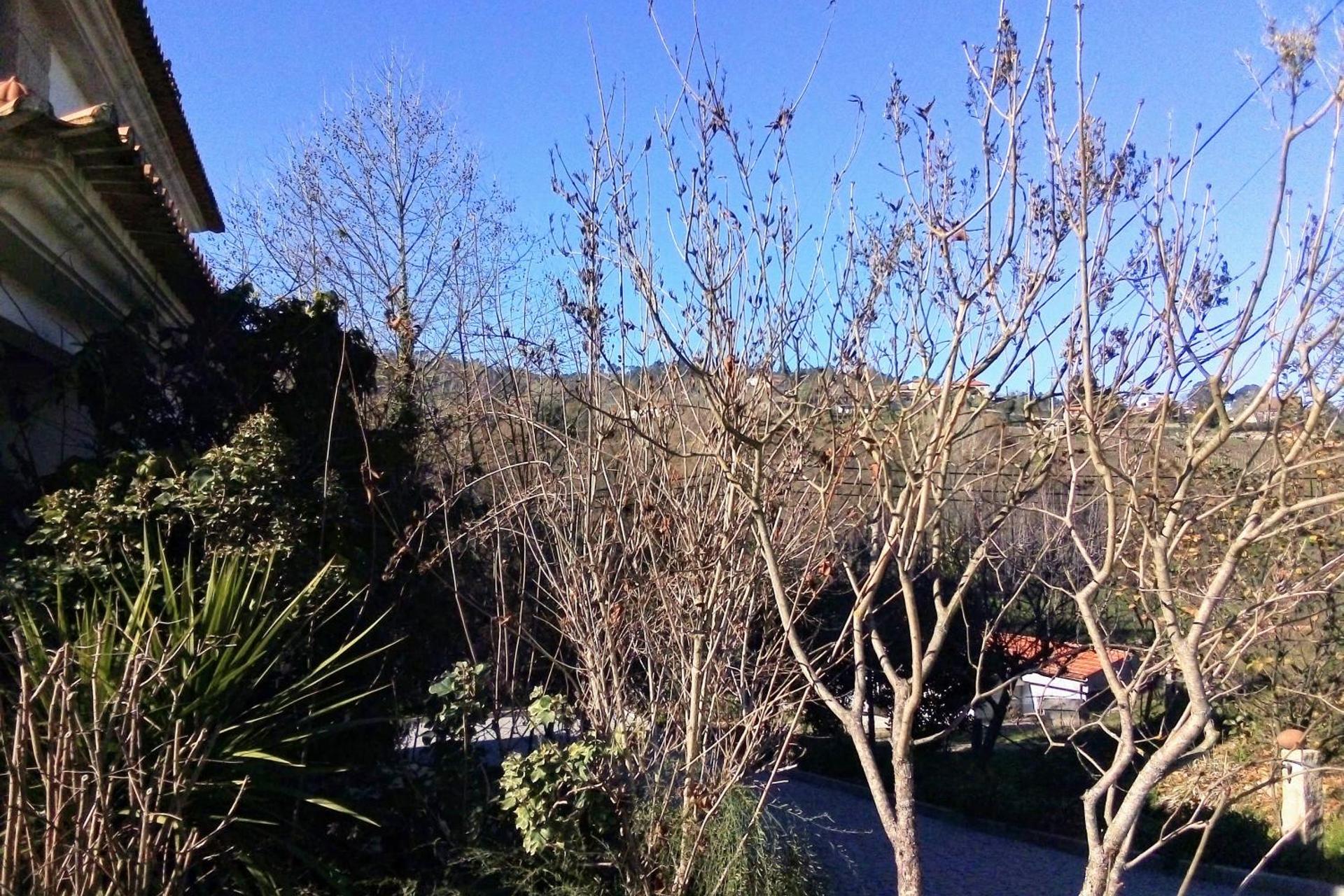 Descubra a Casa Vale do Rio Ovil: Uma Experiência Incomparável em Hospitalidade - Imagem 87