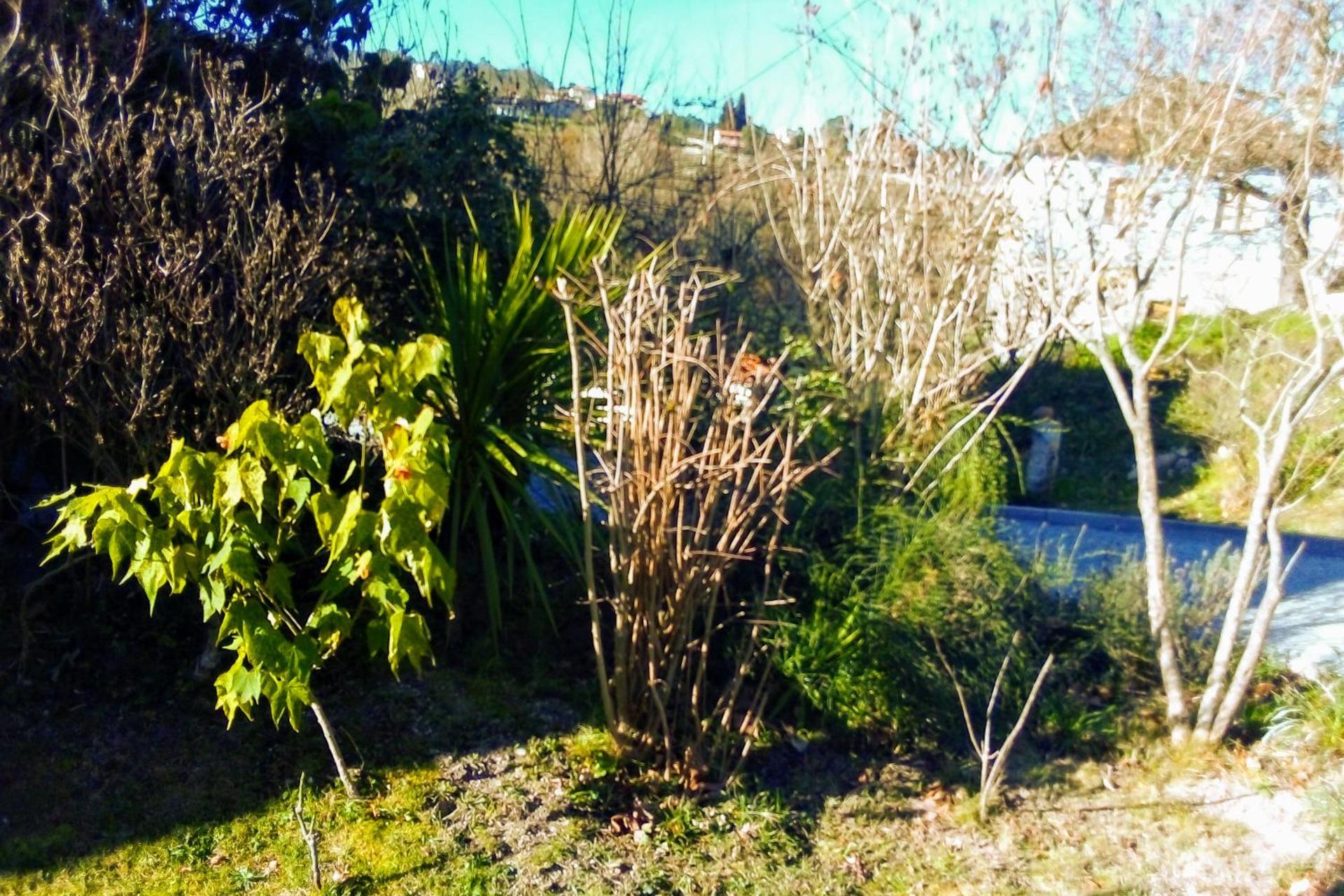 Descubra a Casa Vale do Rio Ovil: Uma Experiência Incomparável em Hospitalidade - Imagem 88