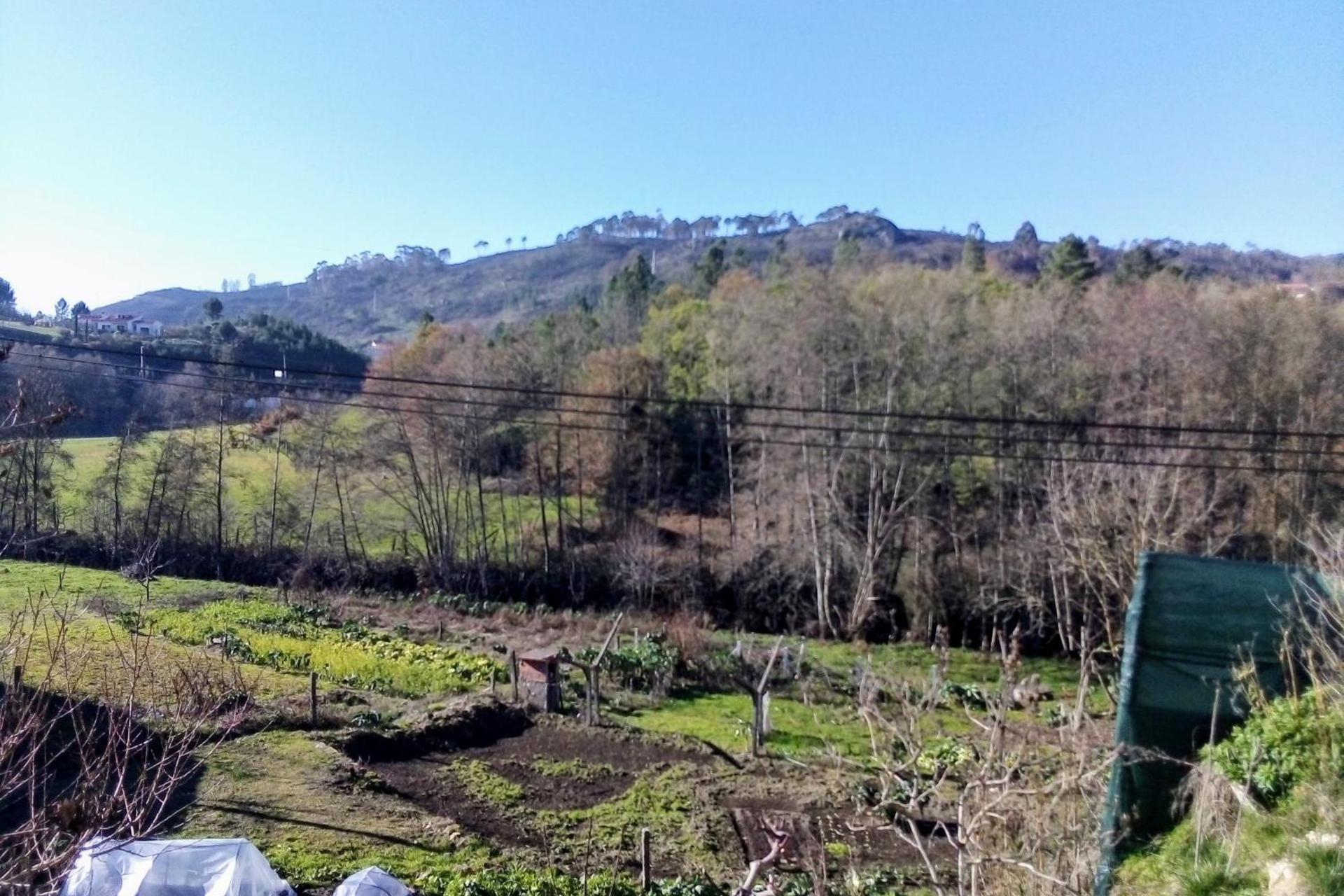 Descubra a Casa Vale do Rio Ovil: Uma Experiência Incomparável em Hospitalidade - Imagem 89