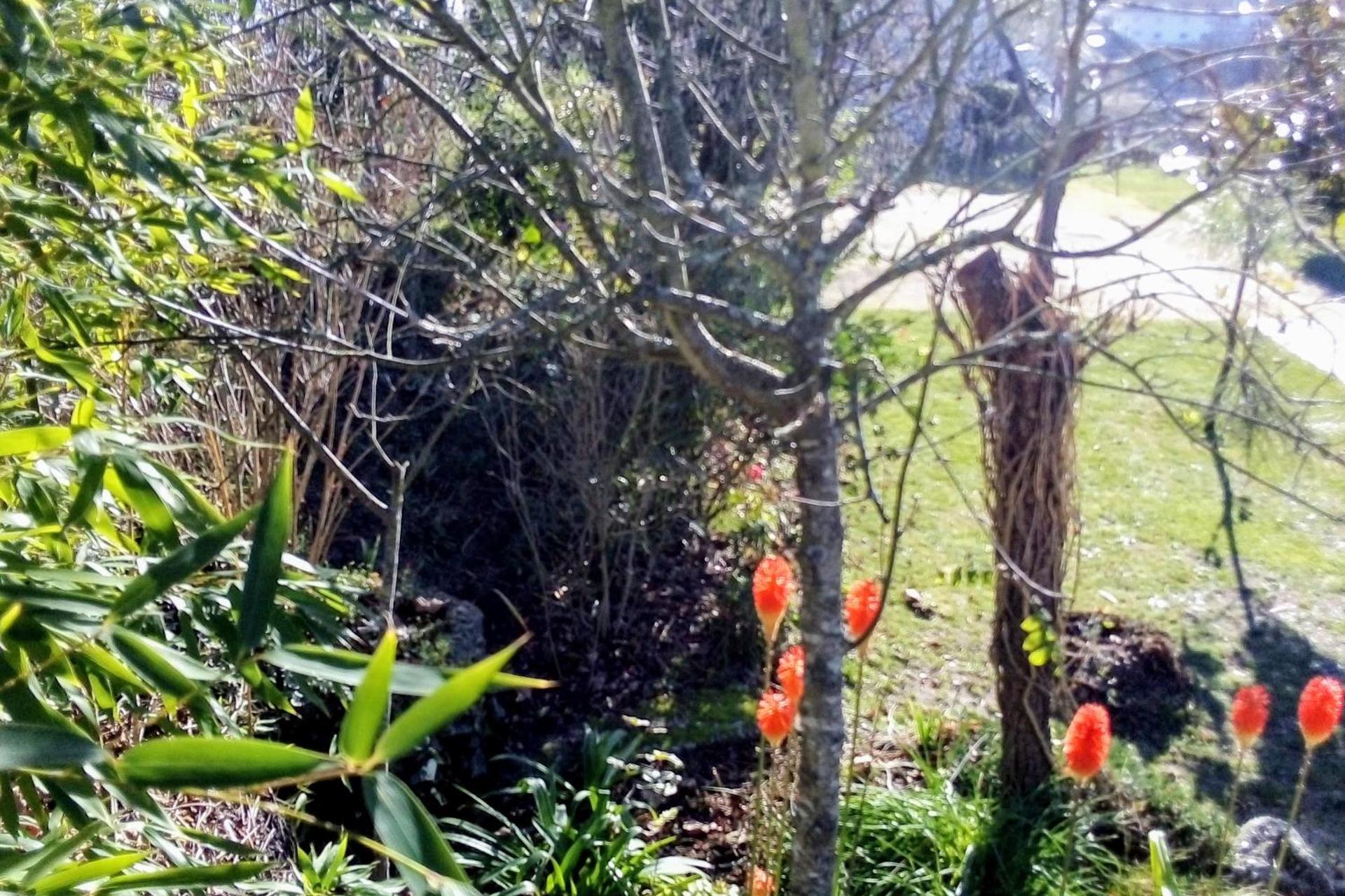 Descubra a Casa Vale do Rio Ovil: Uma Experiência Incomparável em Hospitalidade - Imagem 90