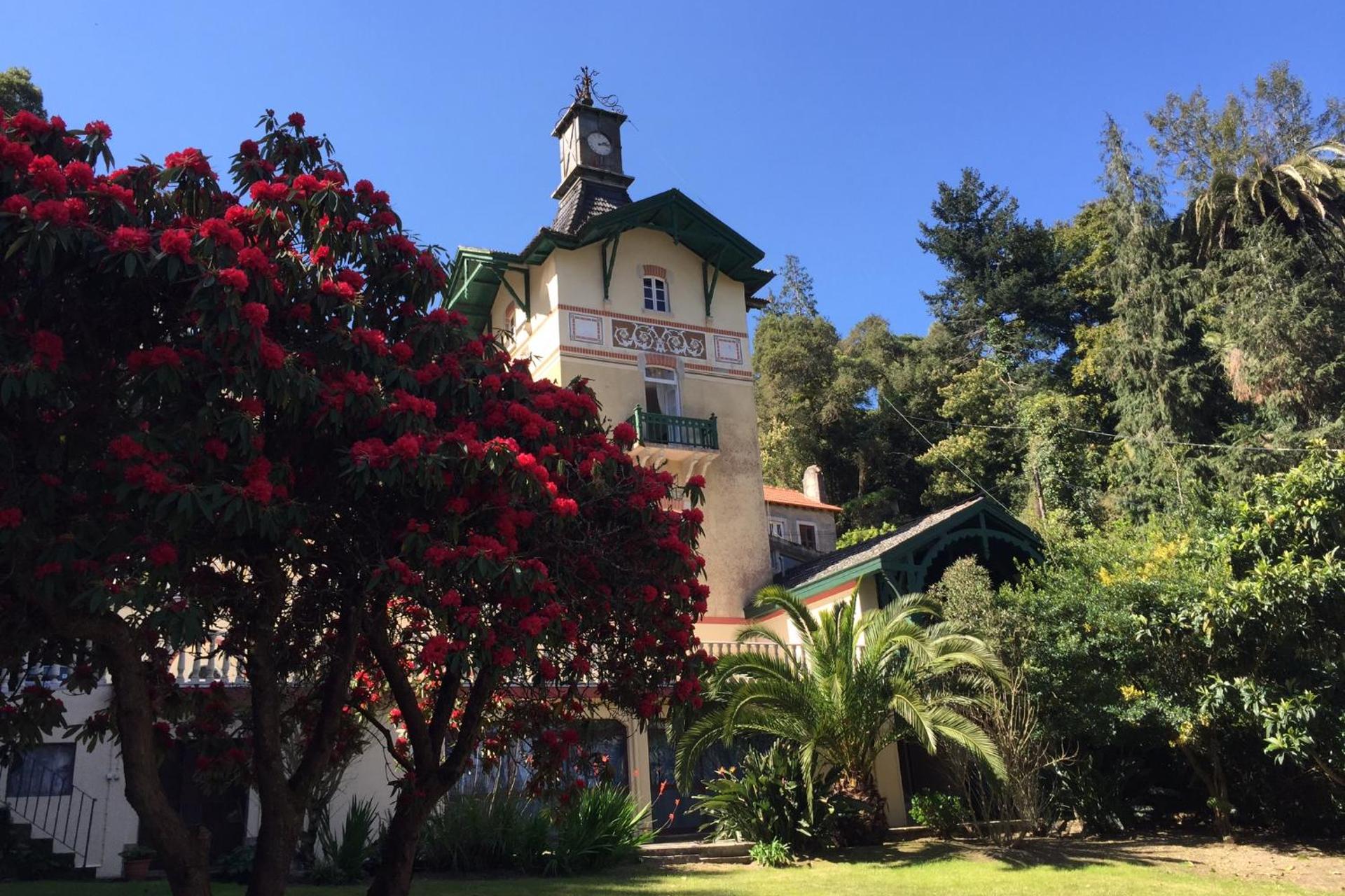 Chalet Relogio Guesthouse - Image 9